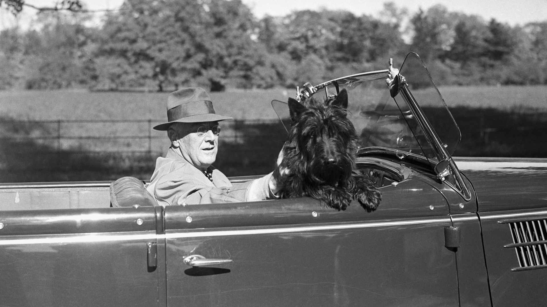 Franklin Delano Roosevelt driving with his beloved Scottie dog Fala