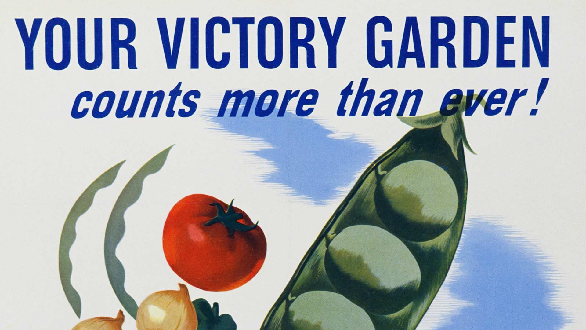 Your Victory Garden WWII poster