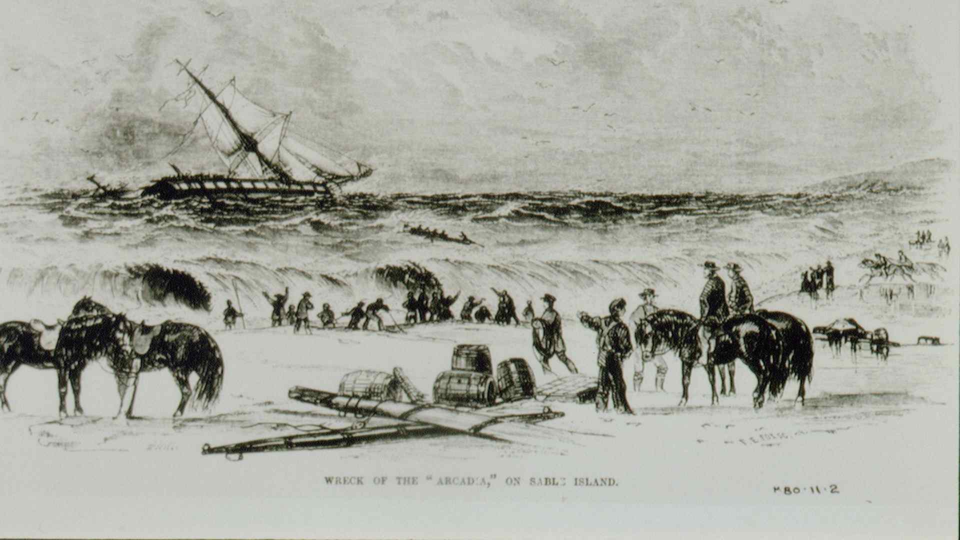 SABLE ISLAND IN NOVA SCOTIA