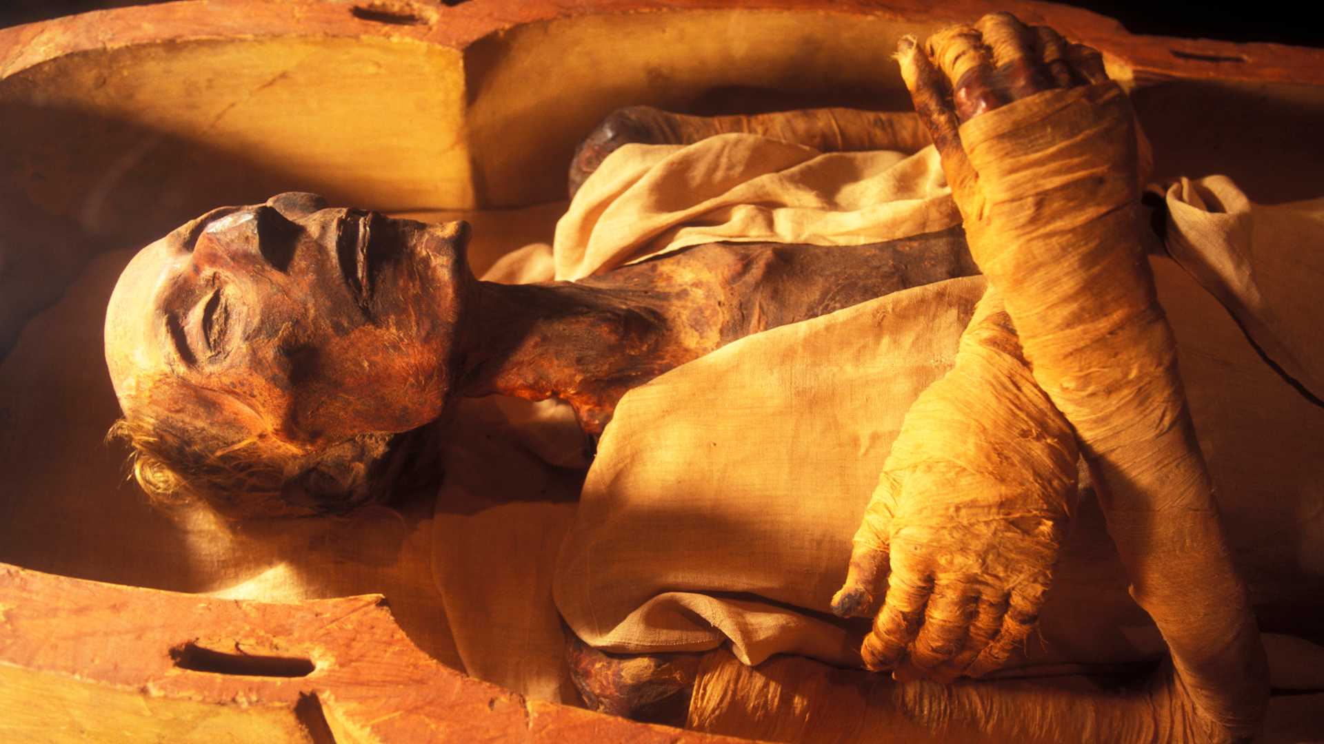 The mummy of Ramses II (1301-1235 BC), son of Sethy I, in April 2006, at Cairo Museum, Egypt.