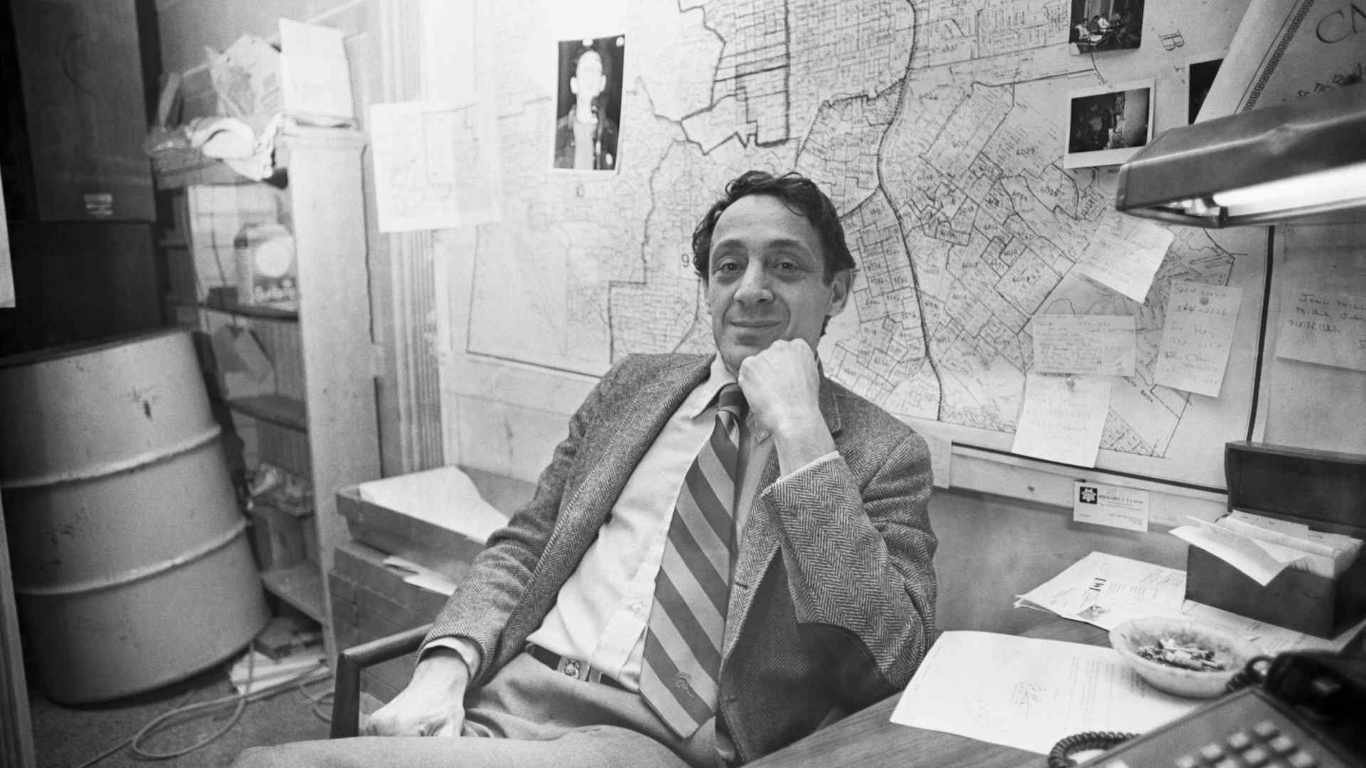 HISTORY: Harvey Milk