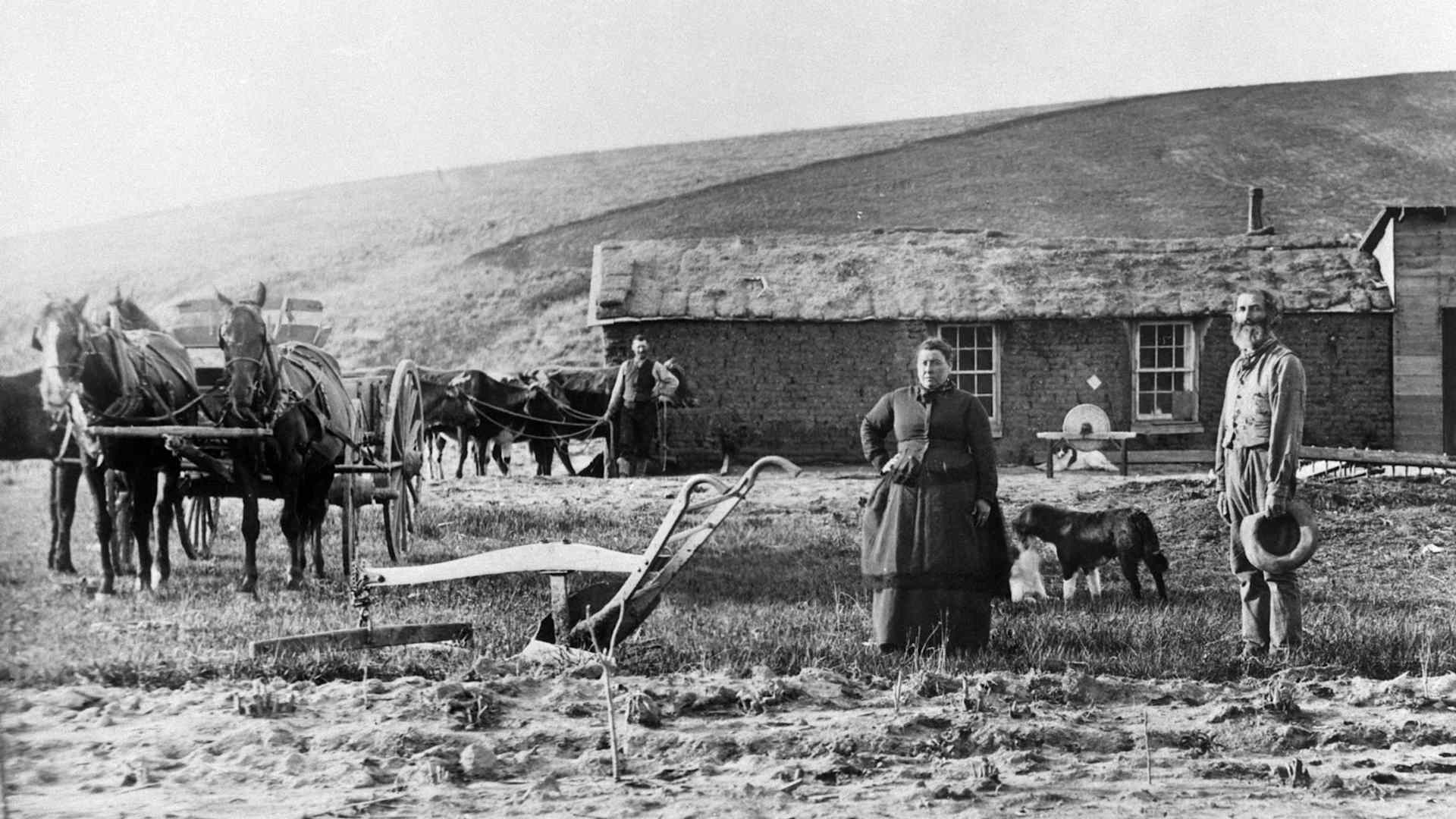 HISTORY: Homestead Act