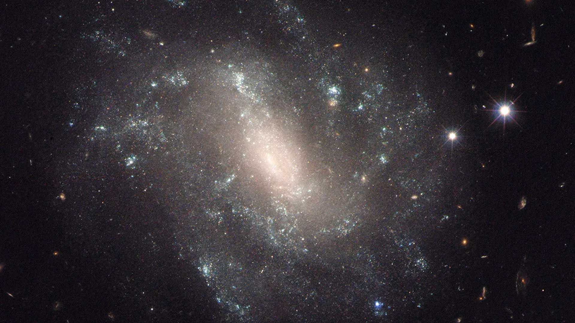 An image taken by the Hubble Space Telescope capturing a galaxy.