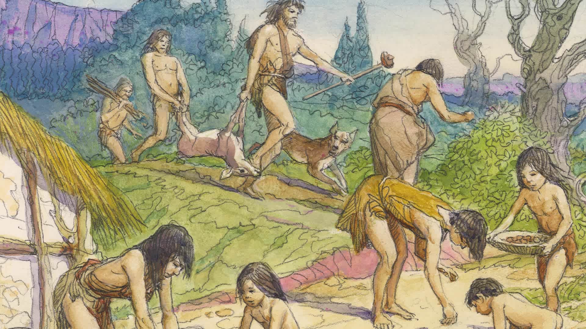 Hunter Gatherers
