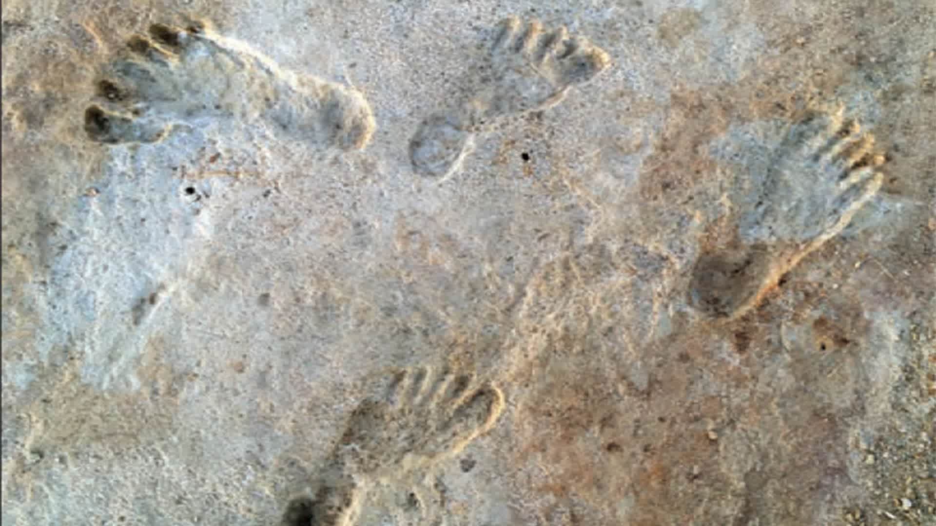 Ice Age footprints