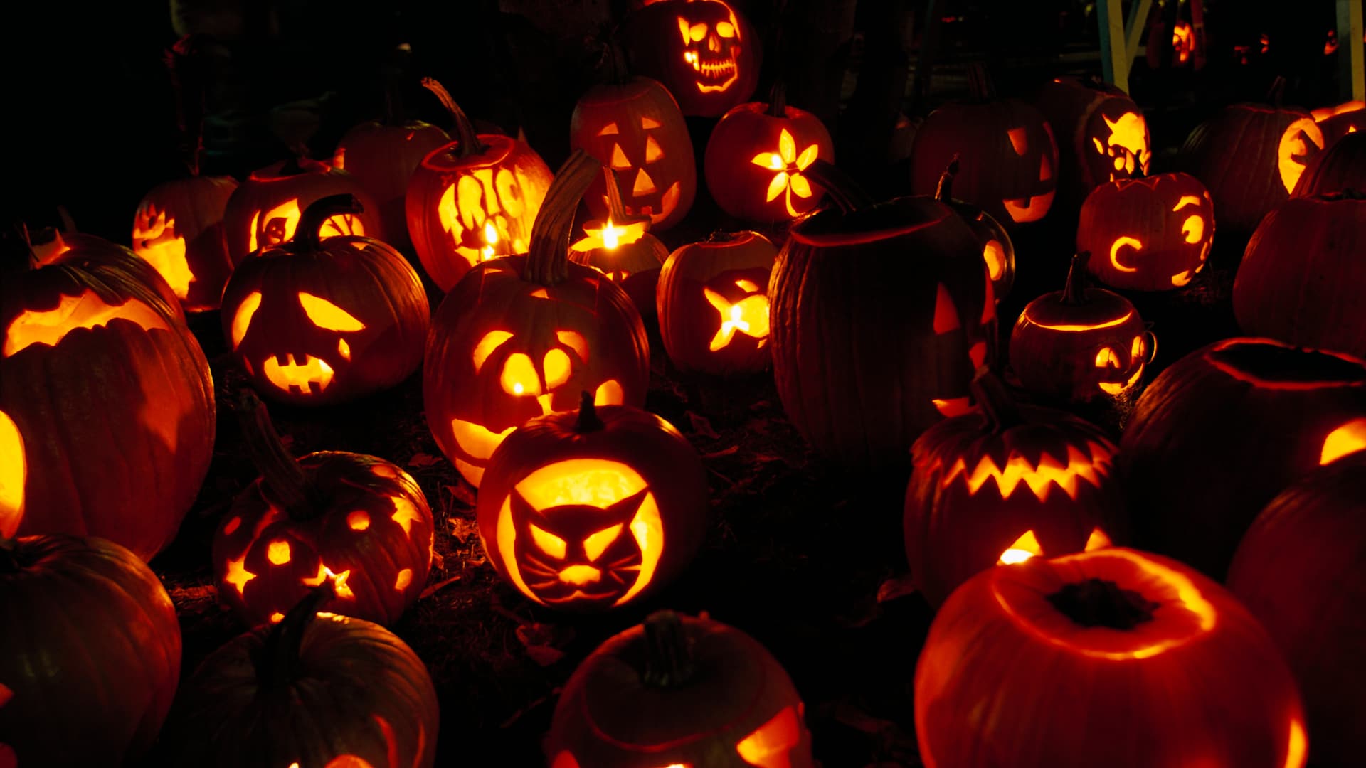 Carved Pumpkins at a Festival