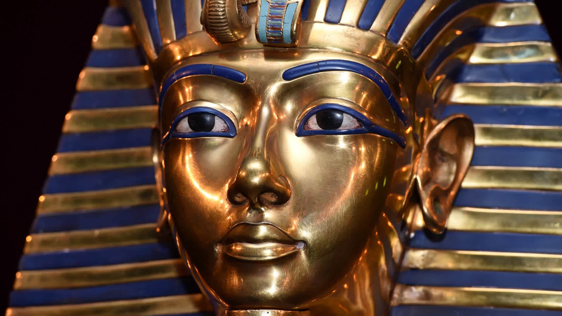 King Tut's Curse