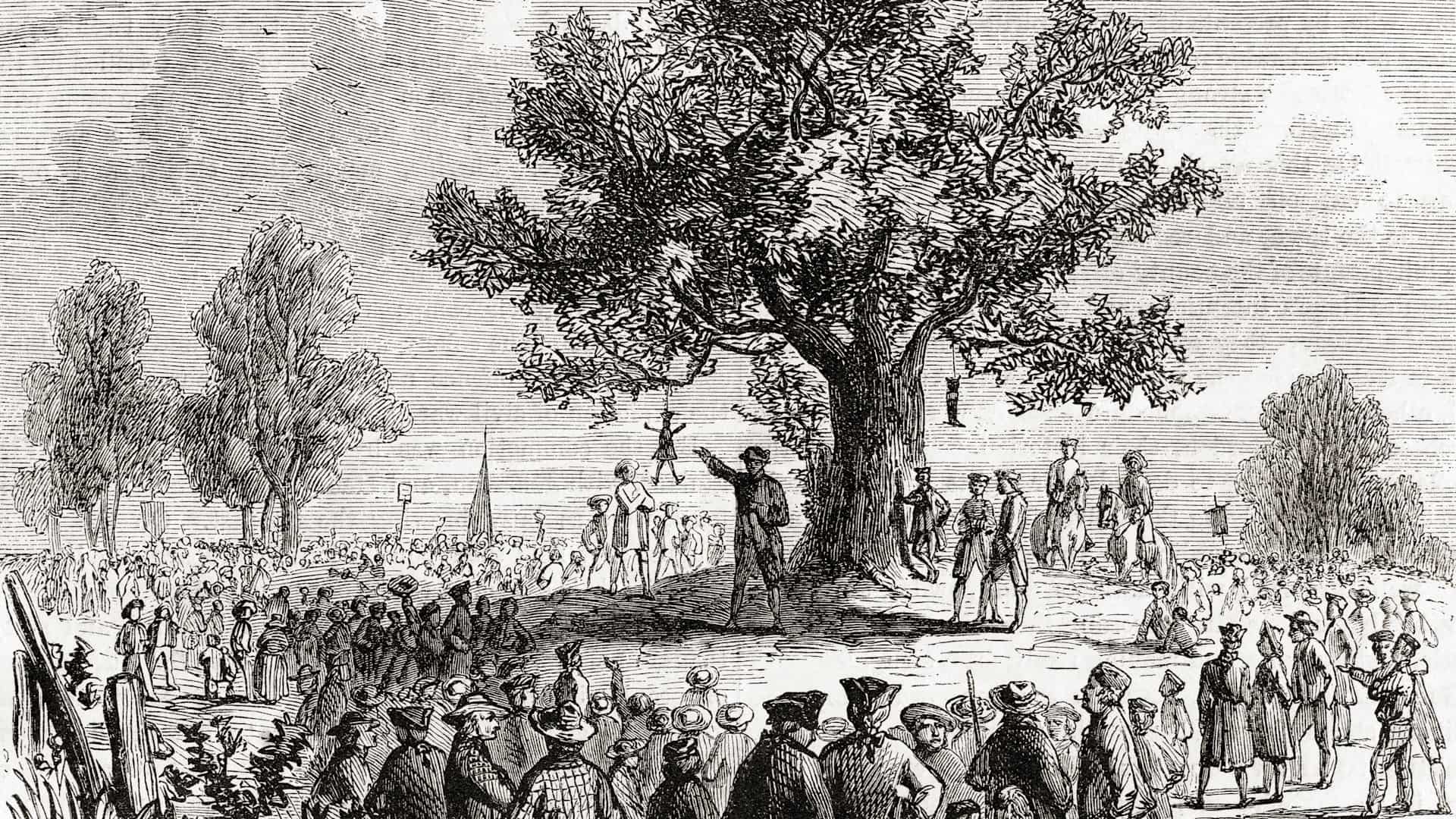 Liberty Tree