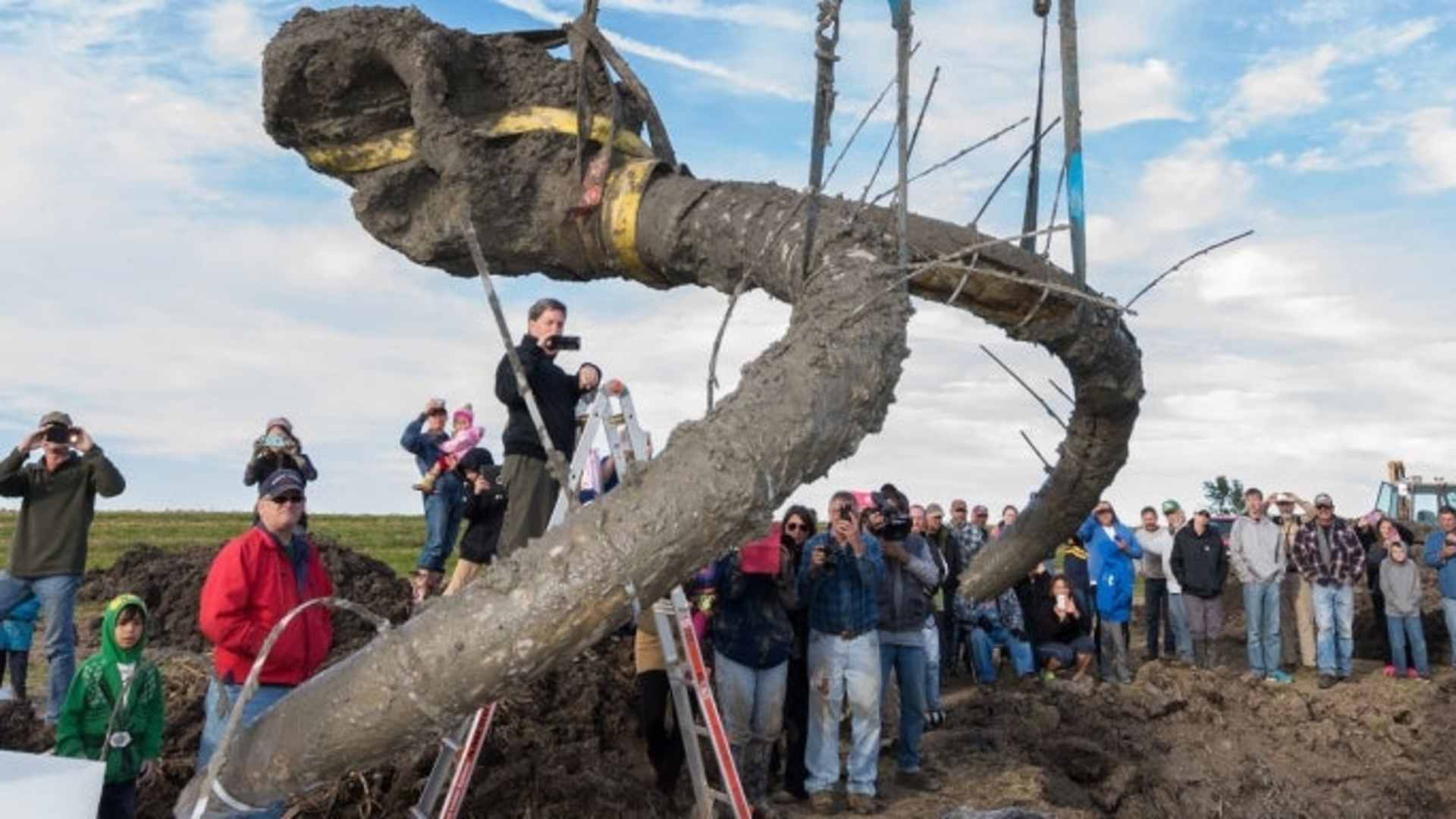 The mammoth skull and tusks are hoisted from the excavation pit. (Credit: Daryl Marshke/University of Michigan)