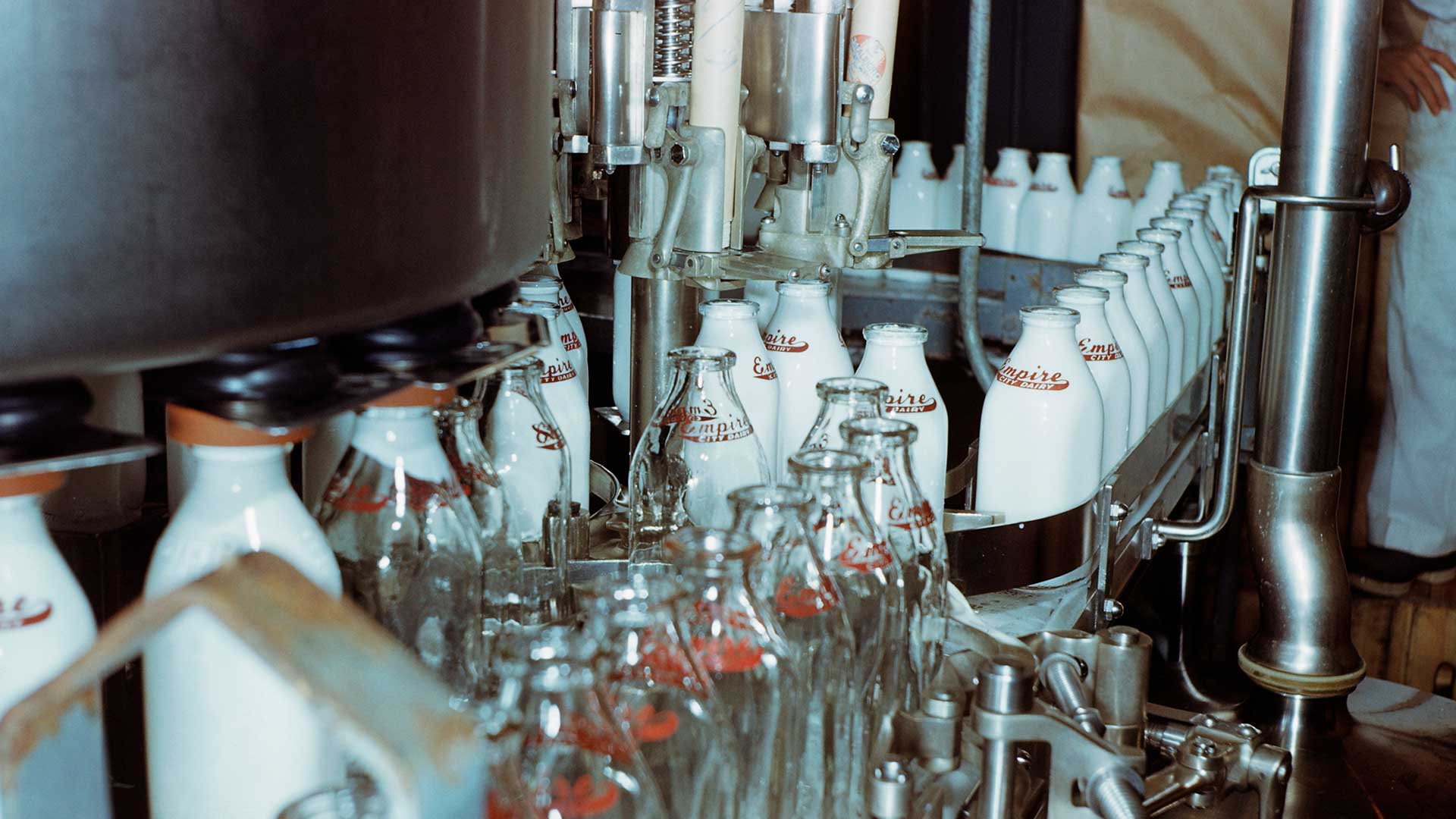 A milk bottling plant, circa 1950.