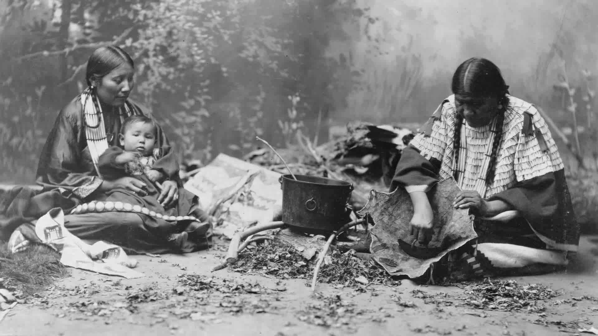 How Native American Diet Shifted with the Arrival of Colonists