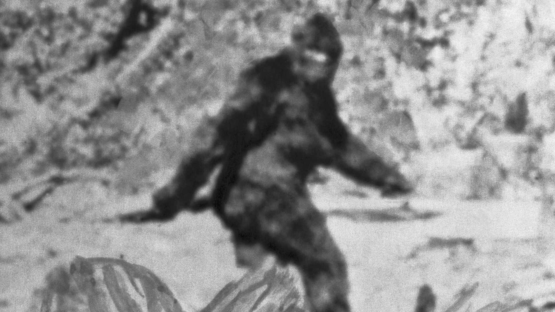 Bigfoot