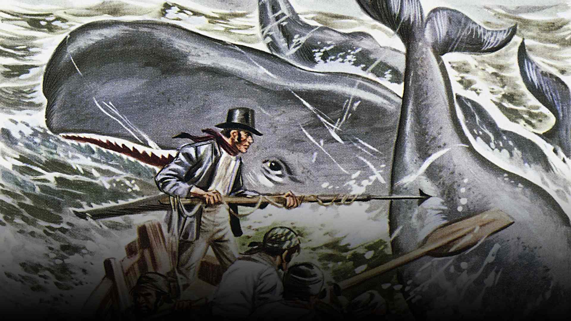 Was There a Real Moby Dick?