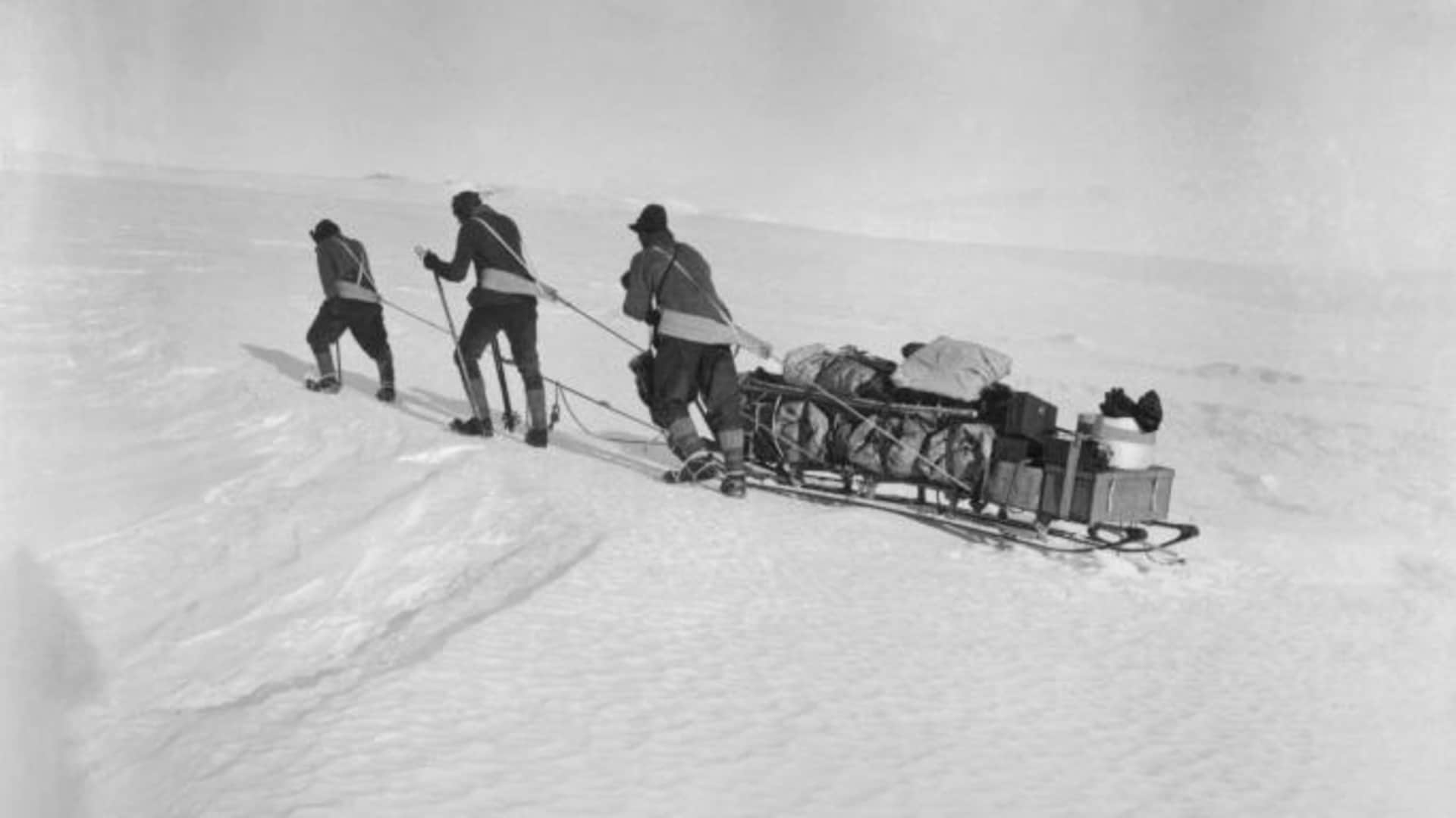 Robert F. Scott and two of his four companions set out for the South Pole pulling a sled. (Credit: Bettmann / Getty Images)