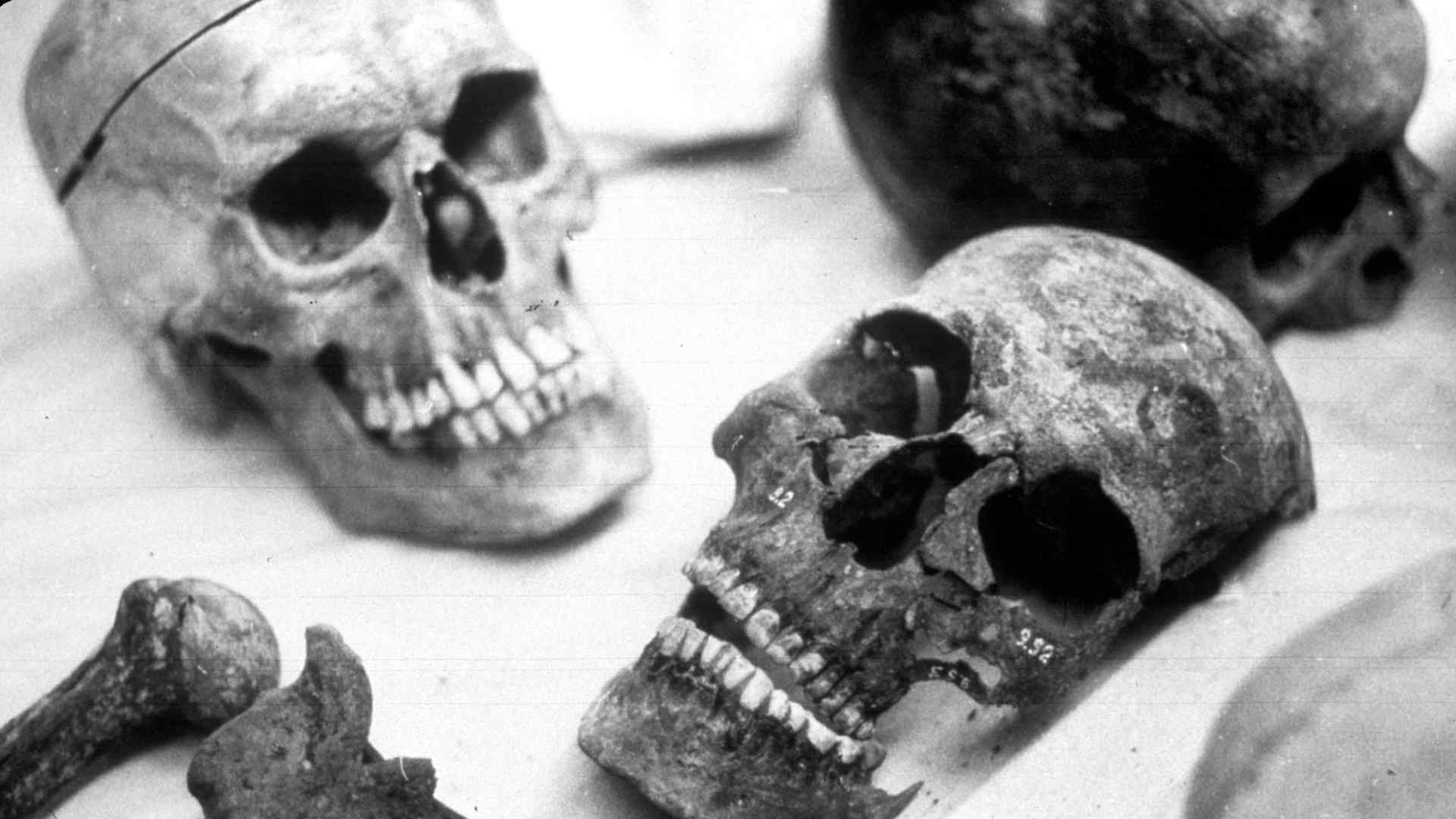 Romanov Remains