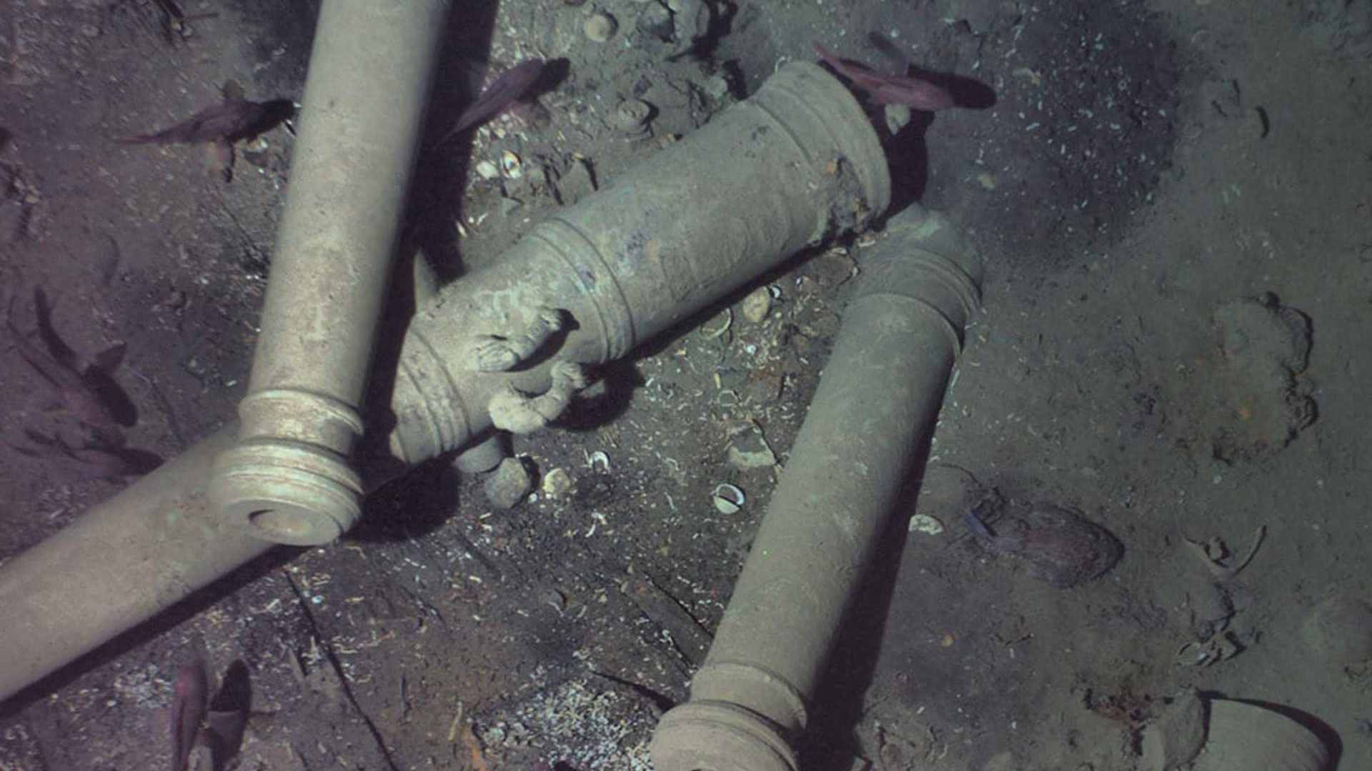 An image from 2018 showing cannons from the San José on the seafloor.