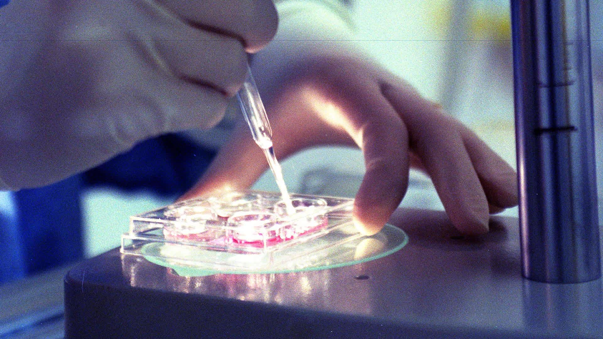 Generic IVF clinic, stem cell research, health, test tube, r&d, microscope, testing, 1995