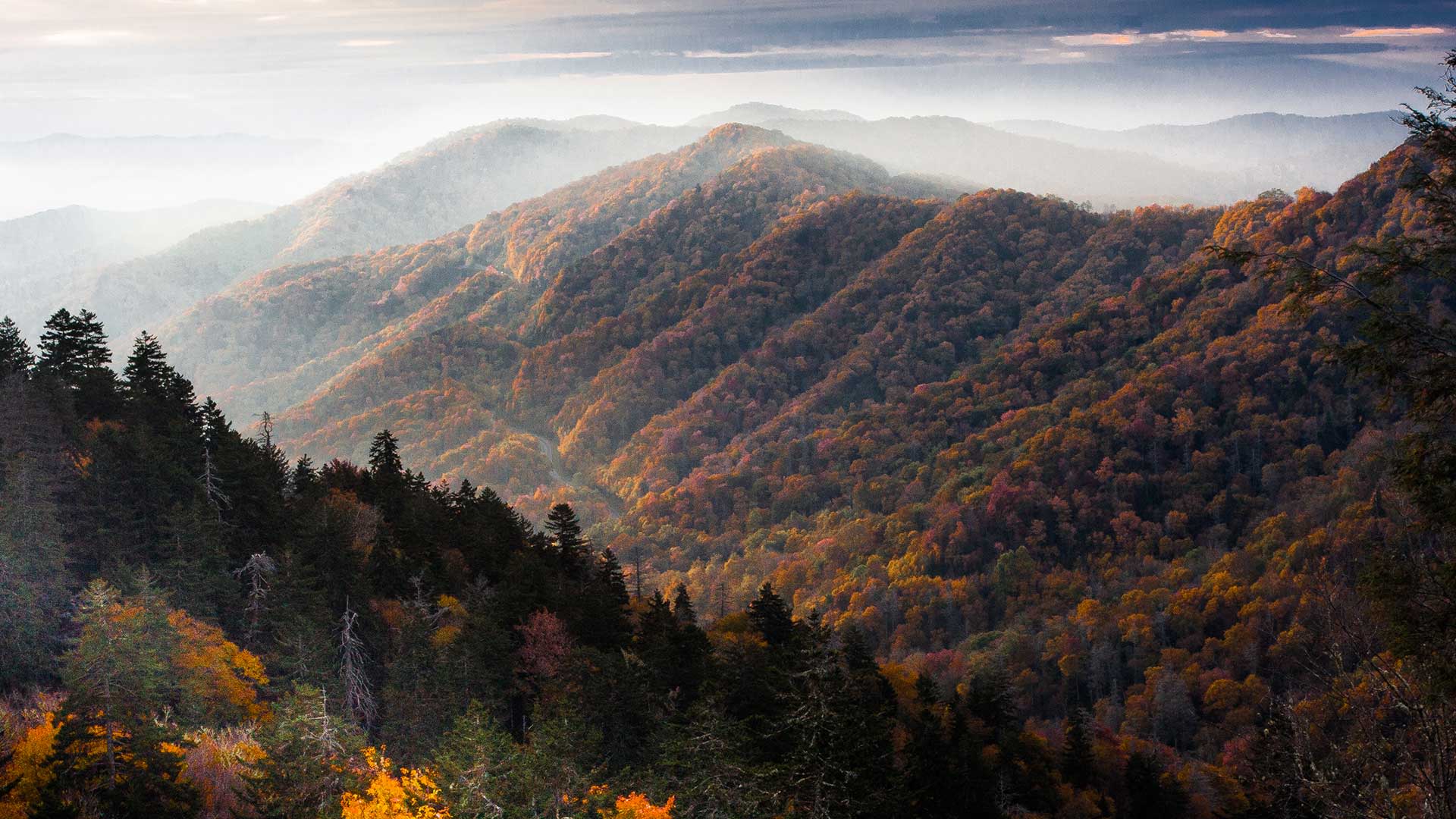 Great Smoky Mountains National Park, Tennessee.