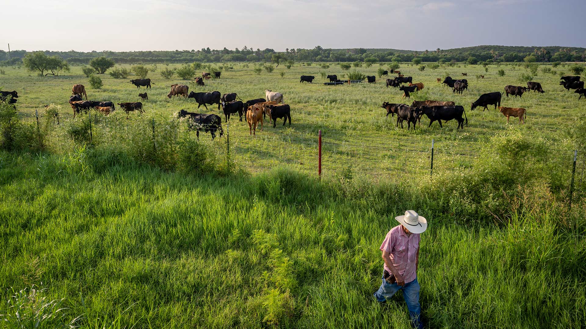 Farmer Jose Esquivel begins to leave after surveying his field of cattle on June 13, 2023 in Quemado, Texas.