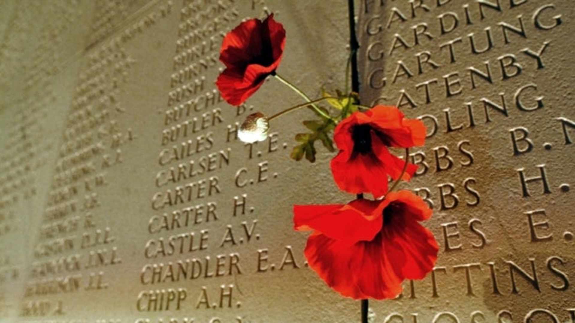 Poppies are pegged on the wall bearing the World War I dead soldiers' names, at the Australian War Memorial in the northern French city of Villers-Bretonneux, commemorating are the ill-fated landing of the Australian and New Zealand Army Corps (ANZAC) at Gallipoli in World War I.