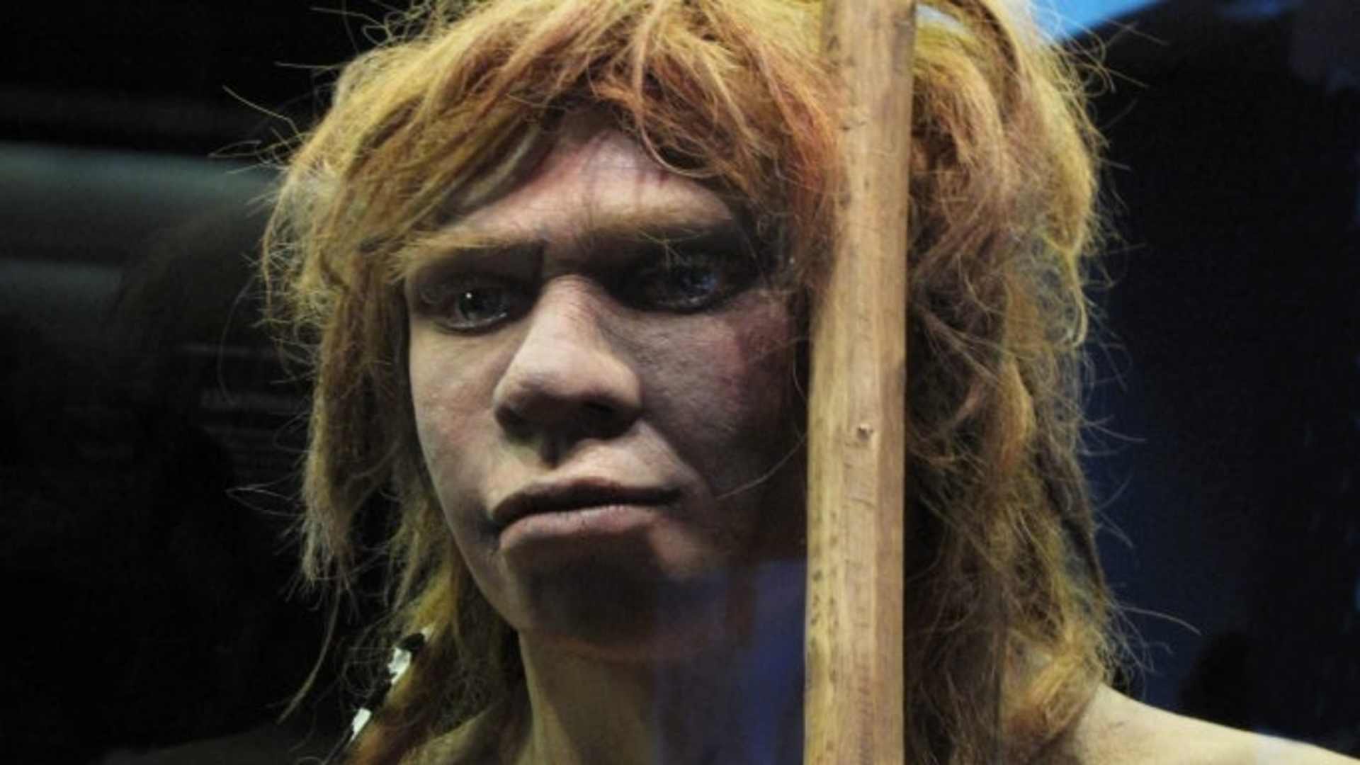 Reproduction of a Neanderthal woman at the National Archaeological Museum in Madrid, Spain