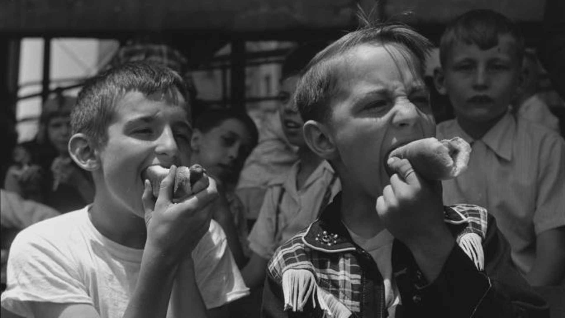 Two boys greedily eat hot dogs.