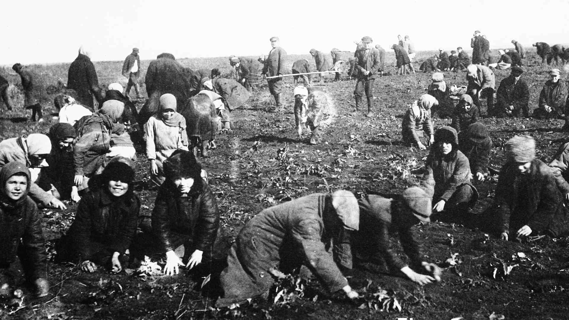 Ukrainian Famine