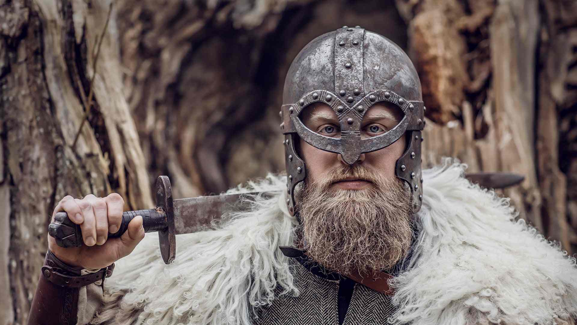 Viking king depicted by modern human.