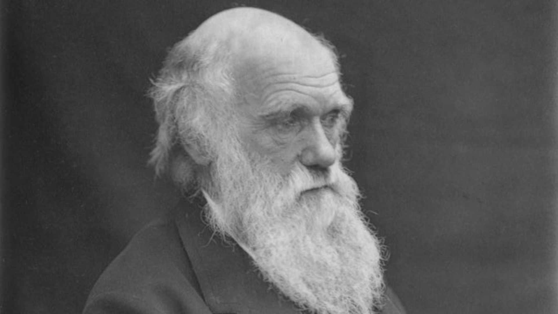 English naturalist and co-originator of the theory of evolution, Charles Darwin (1809 - 1882). (Photo by Spencer Arnold Collection/Hulton Archive/Getty Images)
