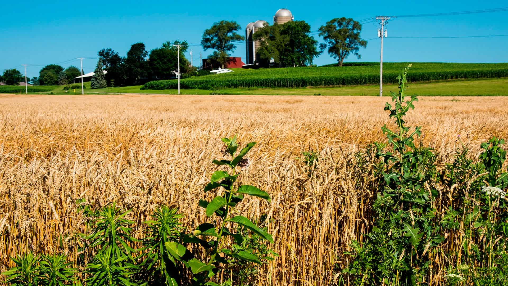 Rural scene near Janesville, Wisconsin.