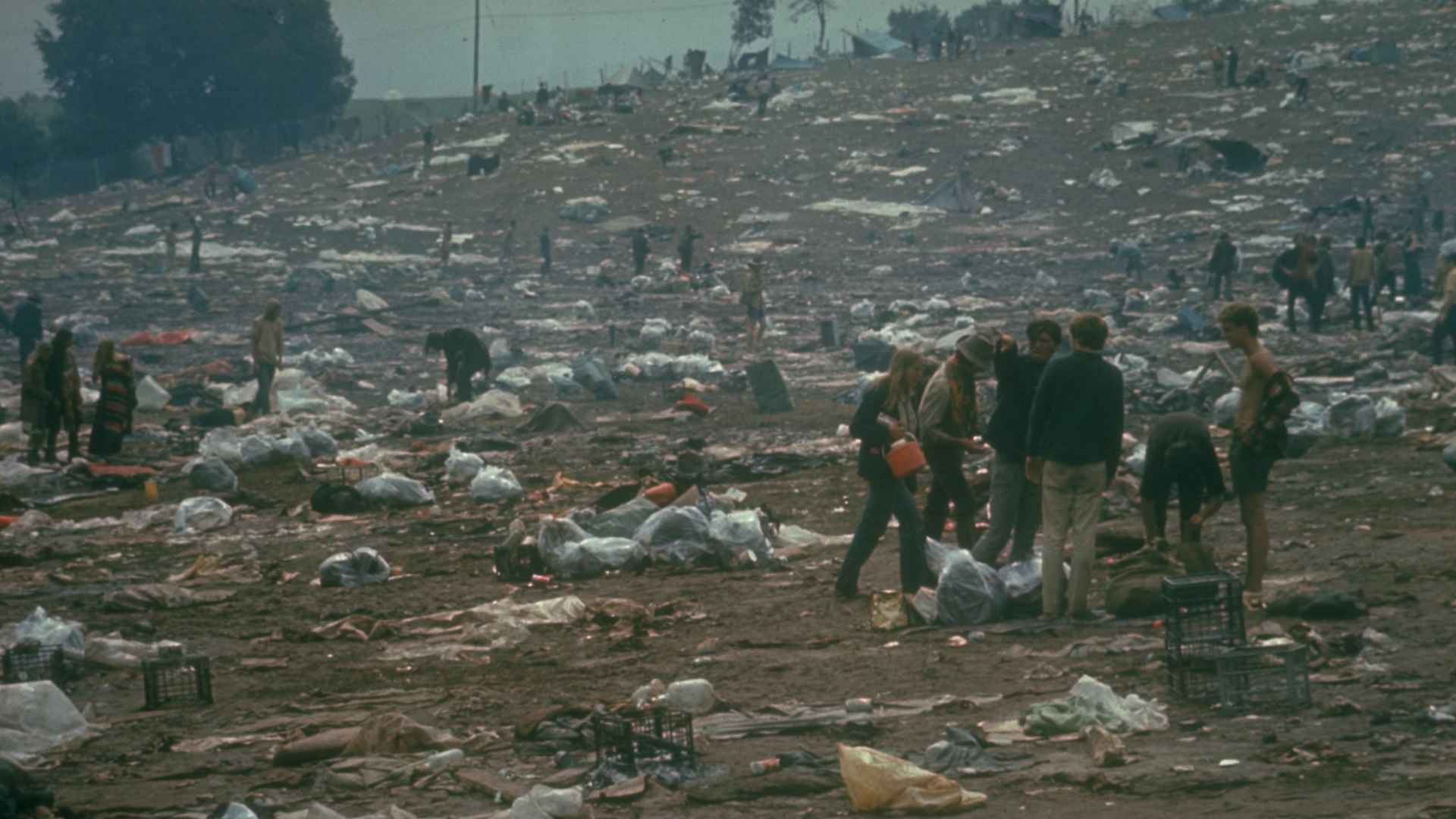 Woodstock