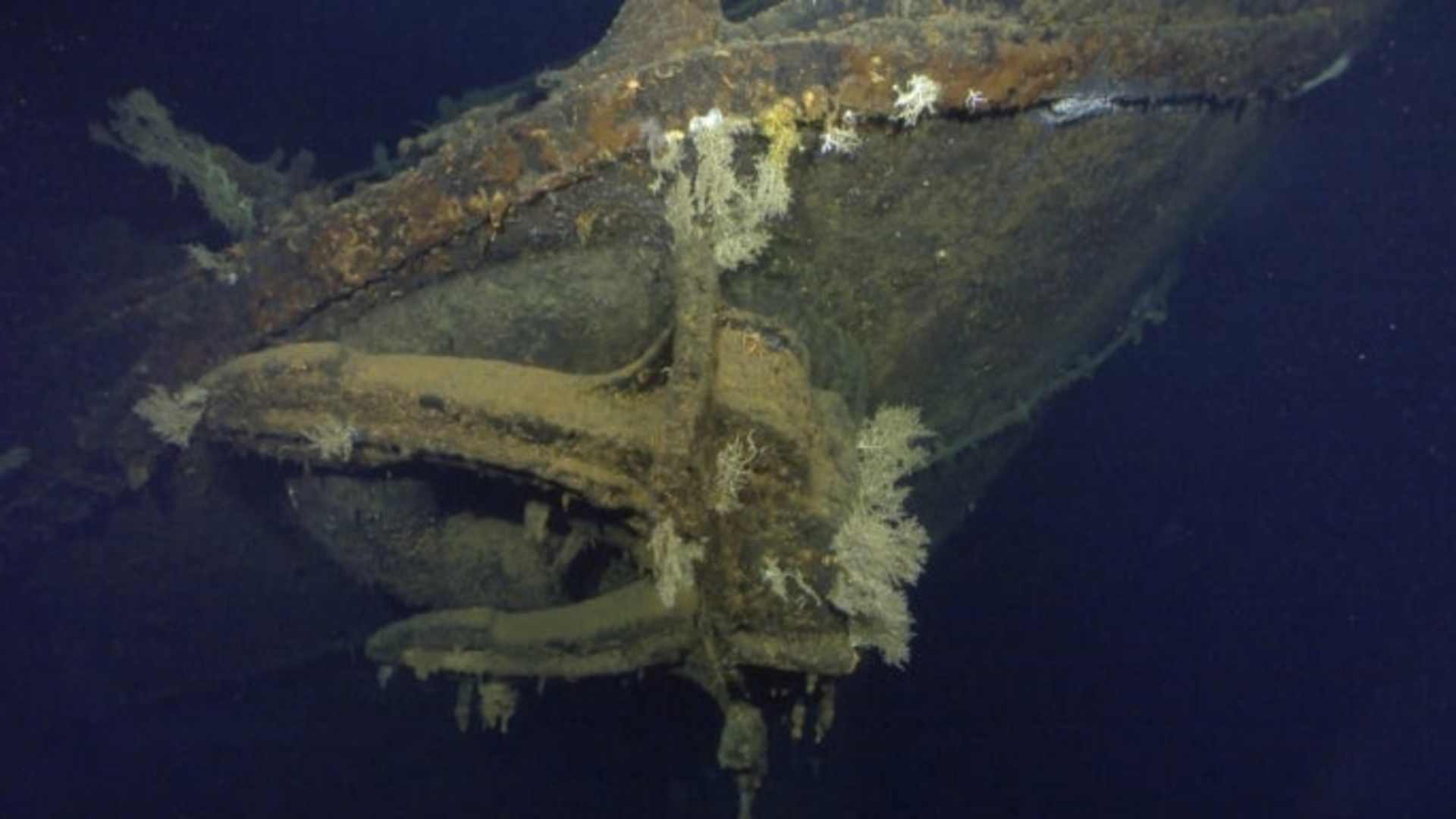 Image of the Musashi captured by the underwater probe.