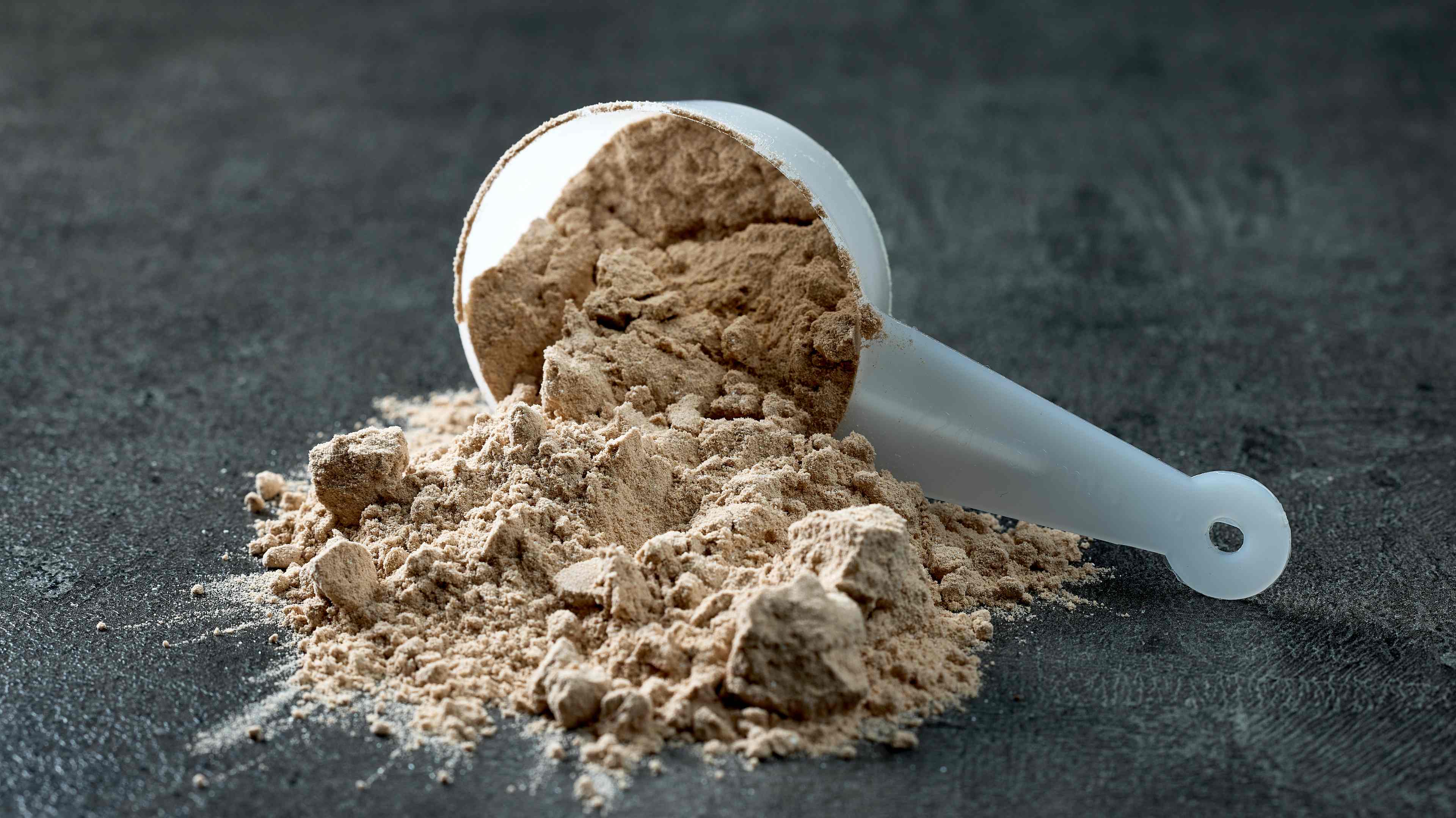 protein powder in scoop. dry mixture for preparation of sporting or dietary drink.