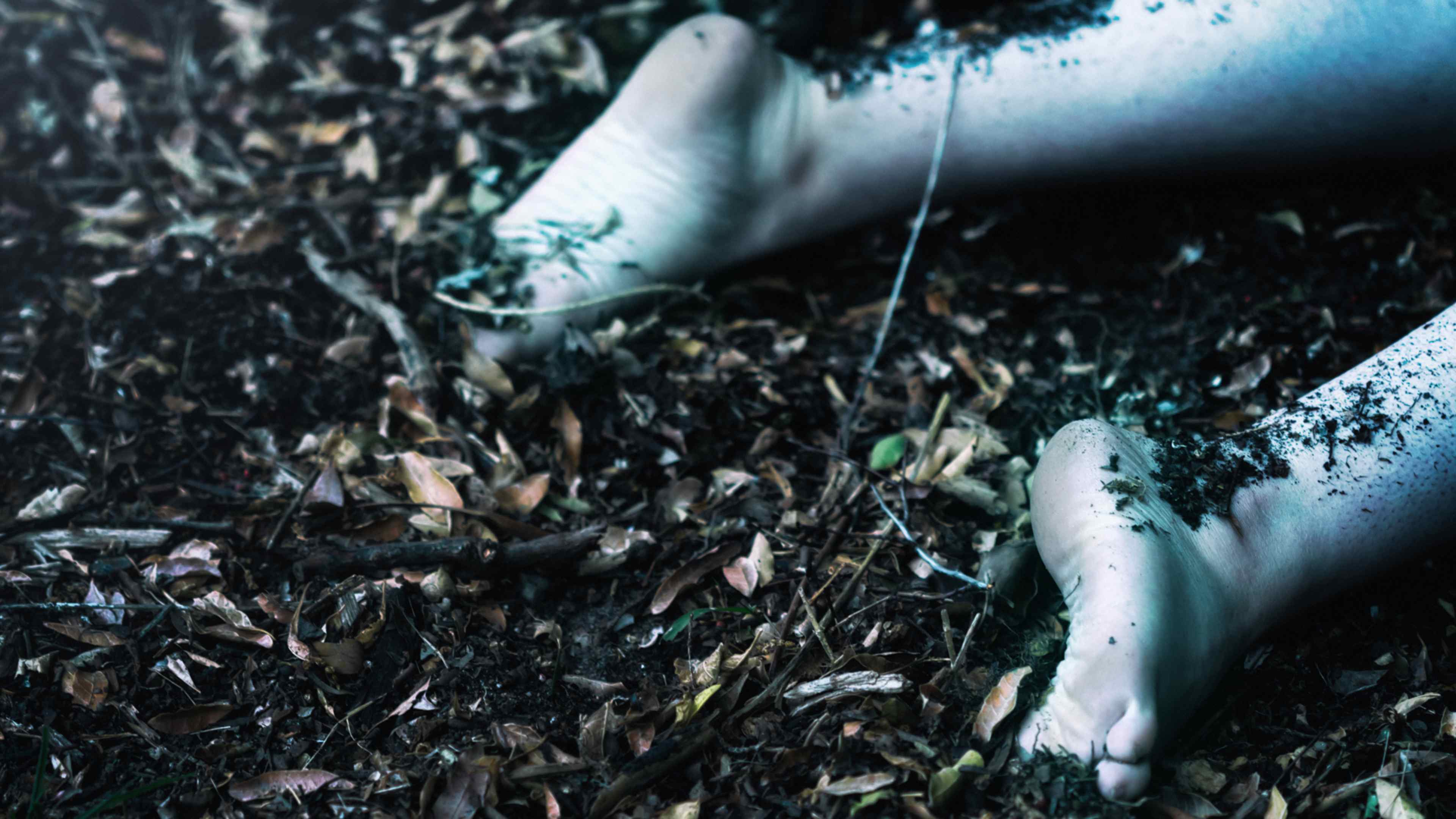 The image depicts a pair of feet partially submerged in a bed of fallen leaves, with a dark, moody background suggesting a forest or wooded area.