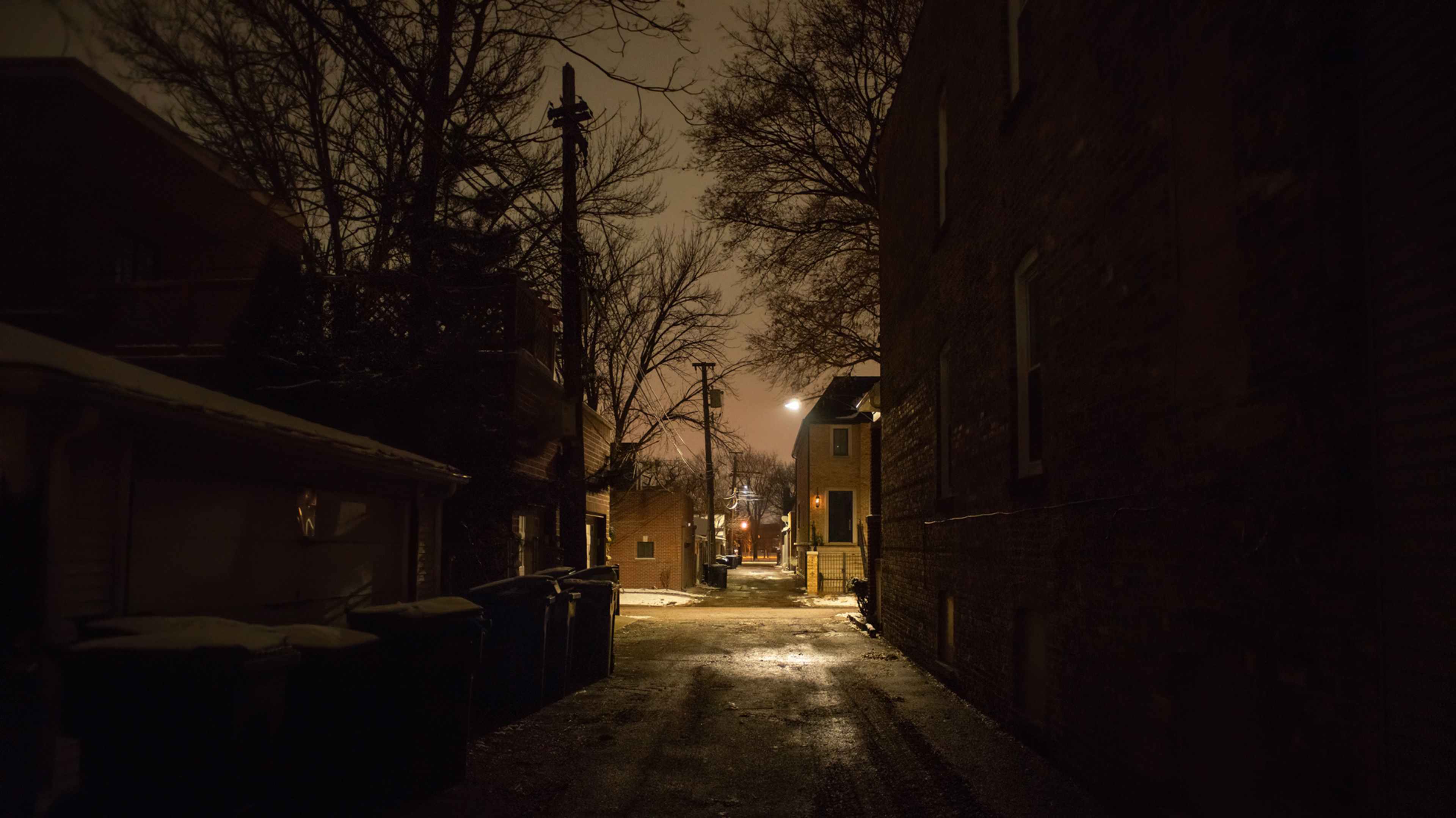 A dimly lit alleyway with bare trees lining the sides, leading to a distant street lamp that illuminates the path ahead.