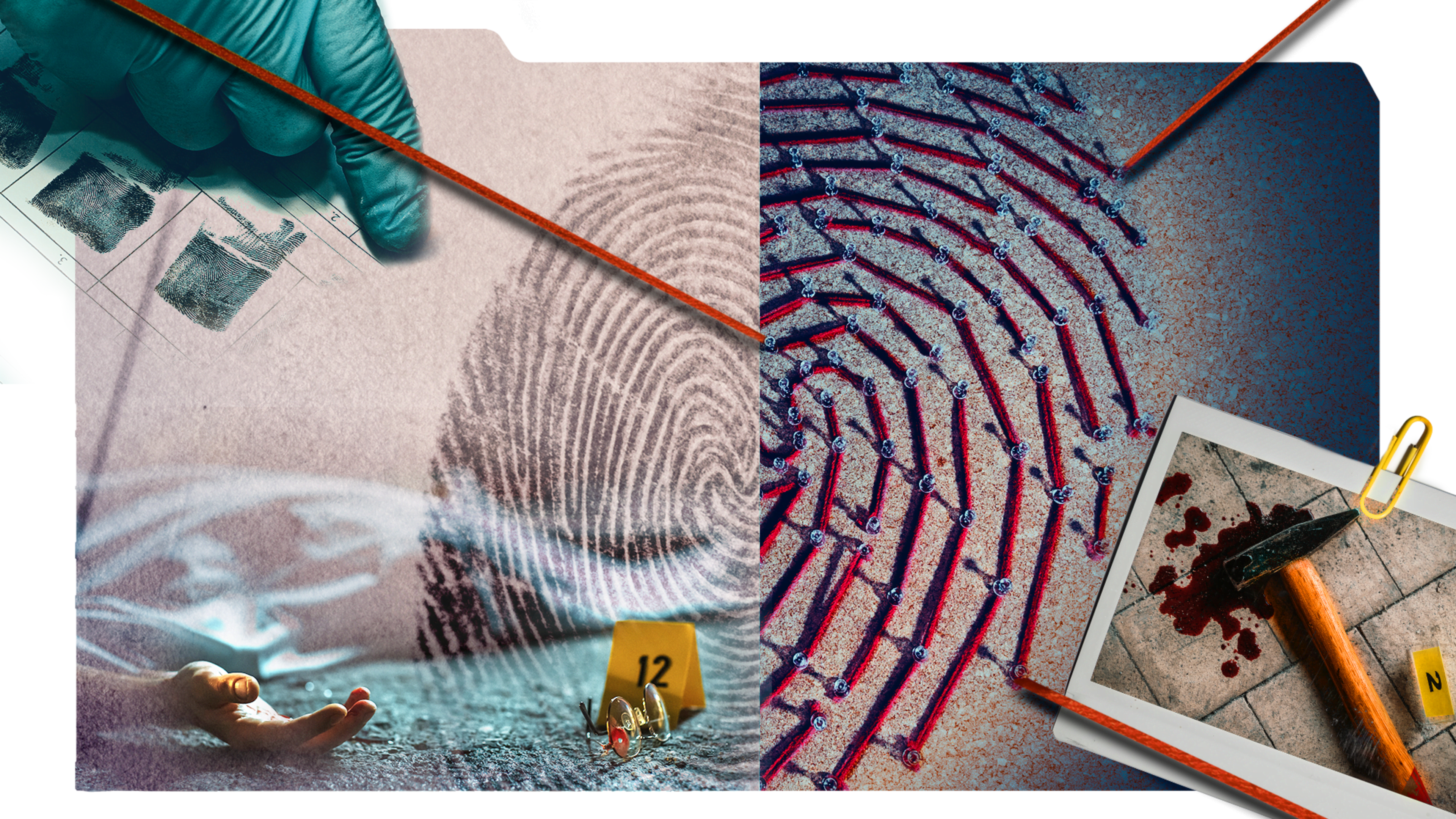 The image features a collection of various textured and patterned surfaces, including a teal fabric, a wooden surface with distinct grain patterns, and a close-up view of a fingerprint-like pattern.