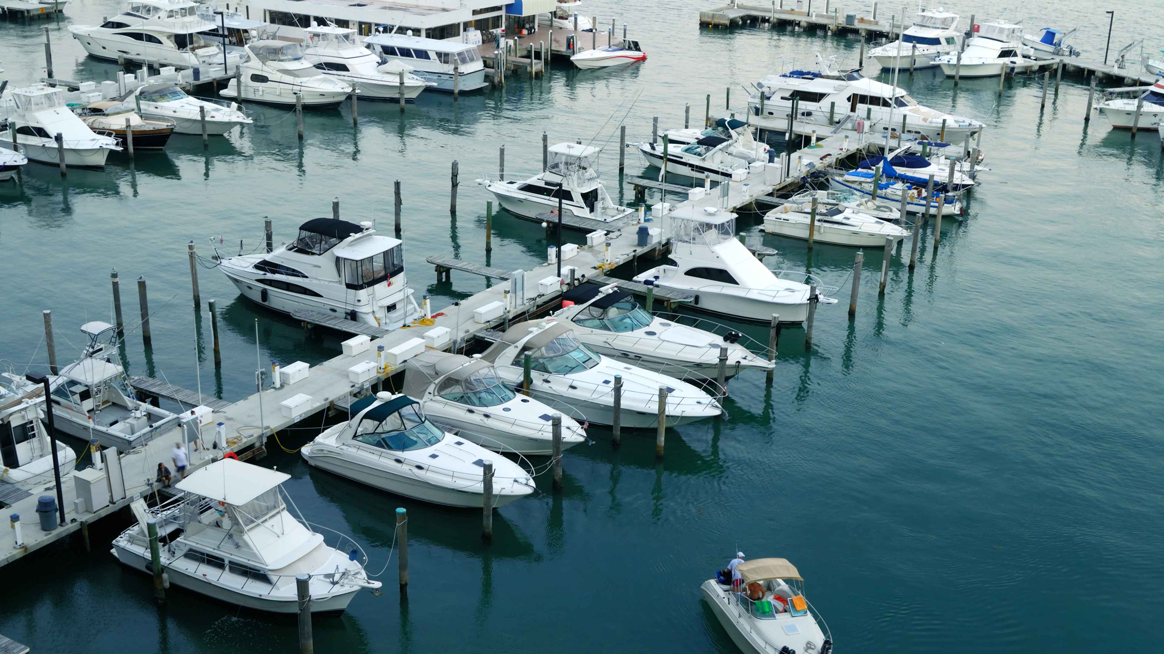 View of a Miami marina, beside the Venetian causeway