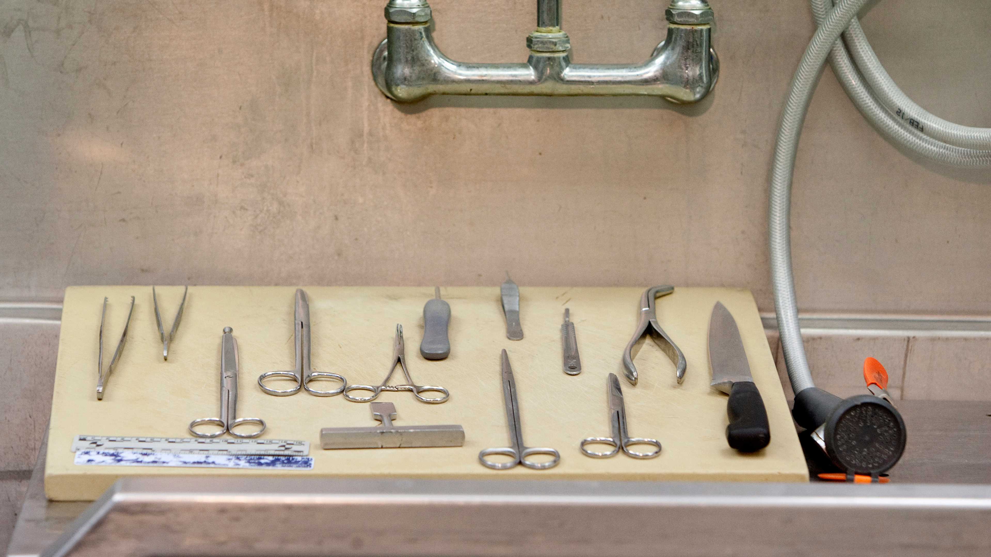 Maine Chief Medical Examiner