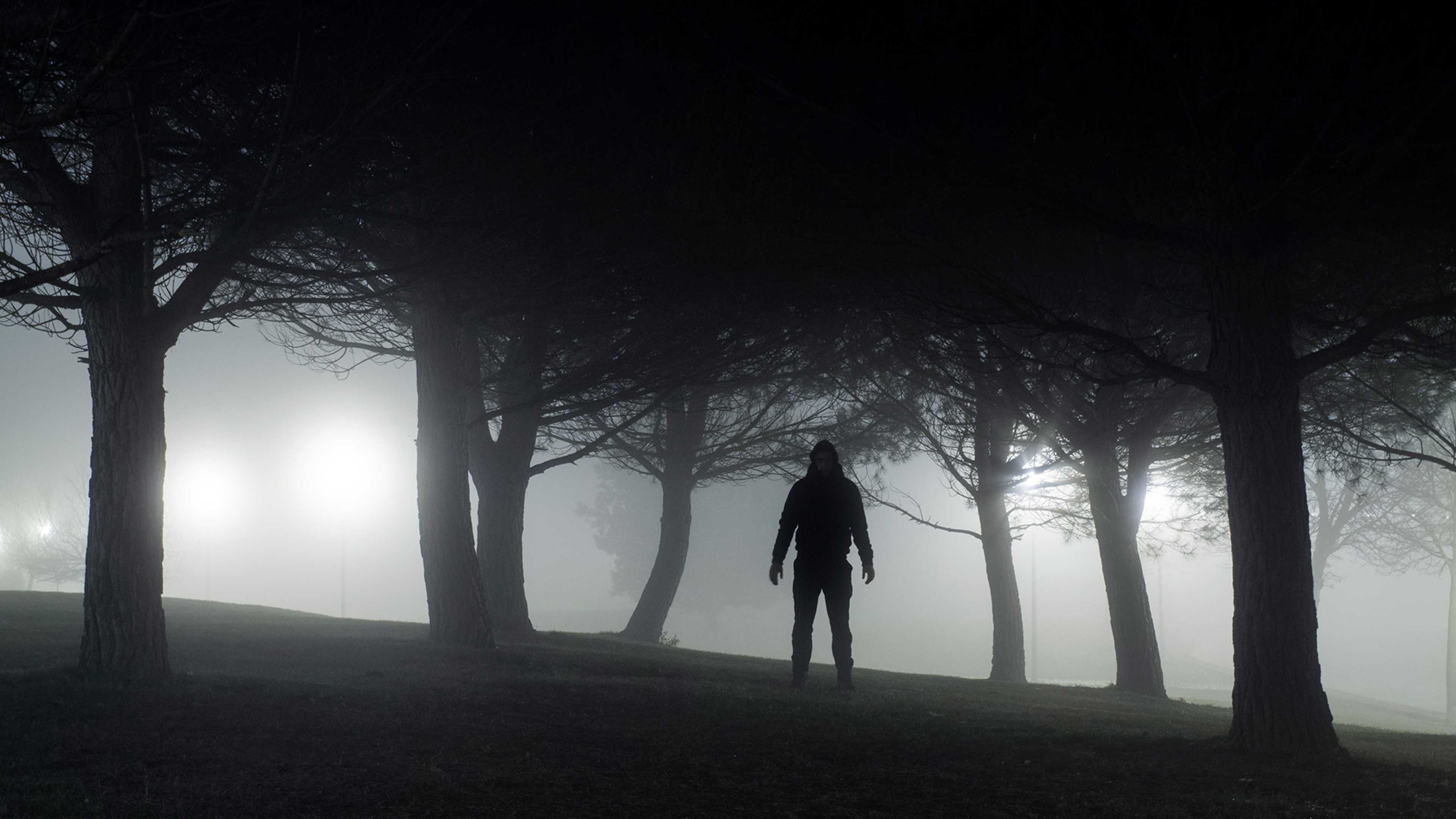 A solitary figure stands in a dark, misty forest, surrounded by the silhouettes of bare trees.