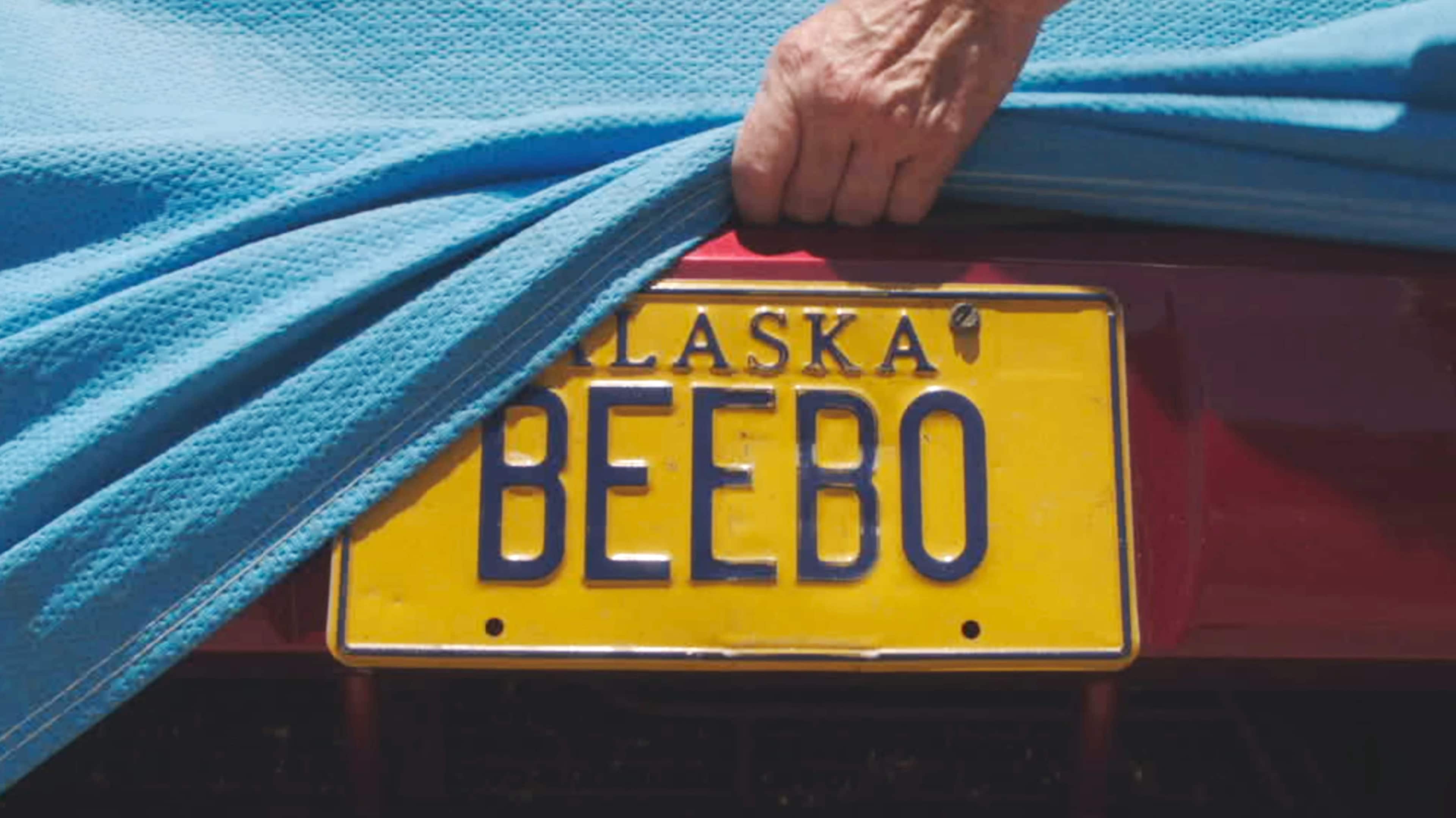 Alaska BEEBO license plate