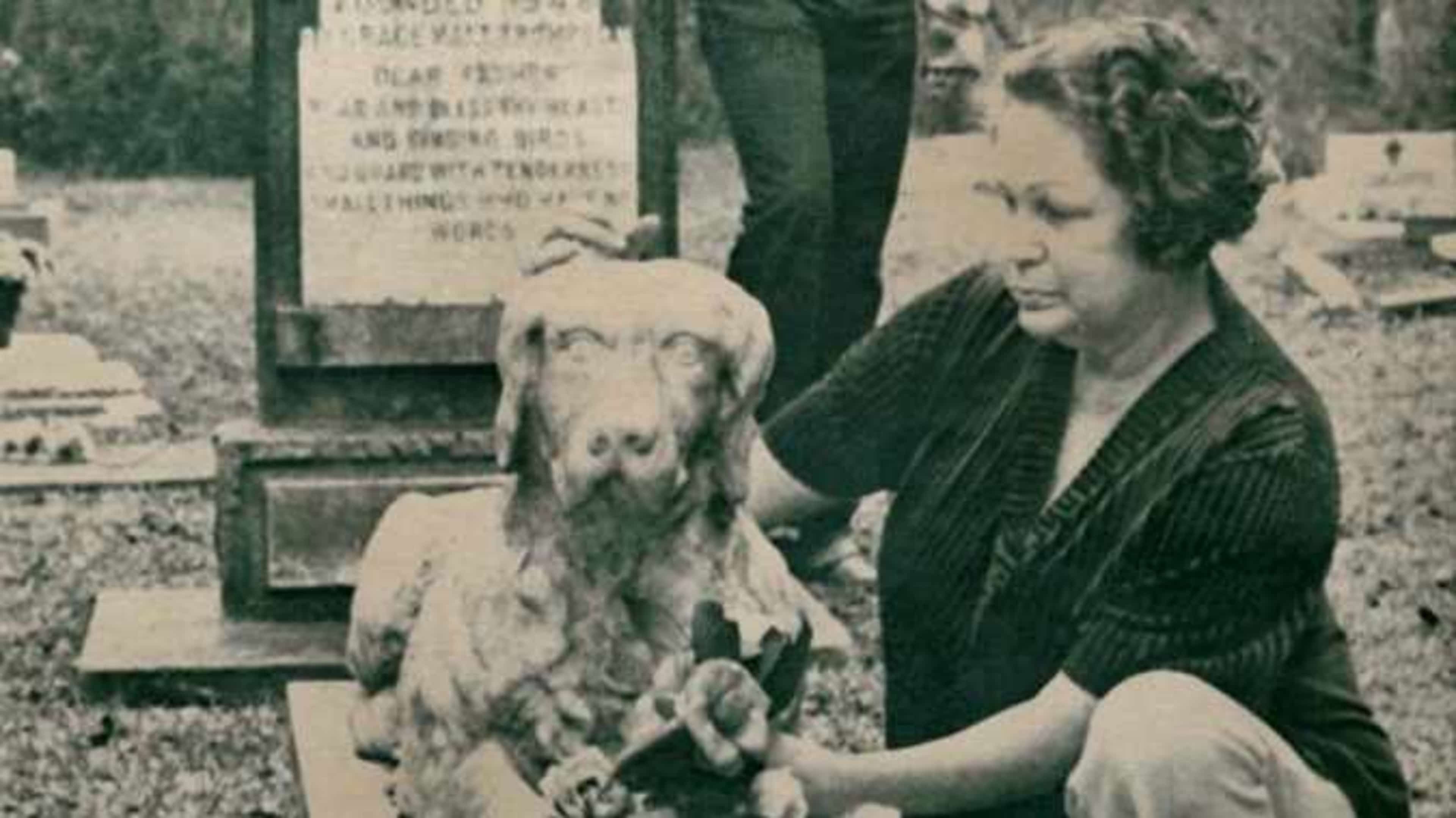 The Pet Cemetary Murders: A Ghost Story HBO