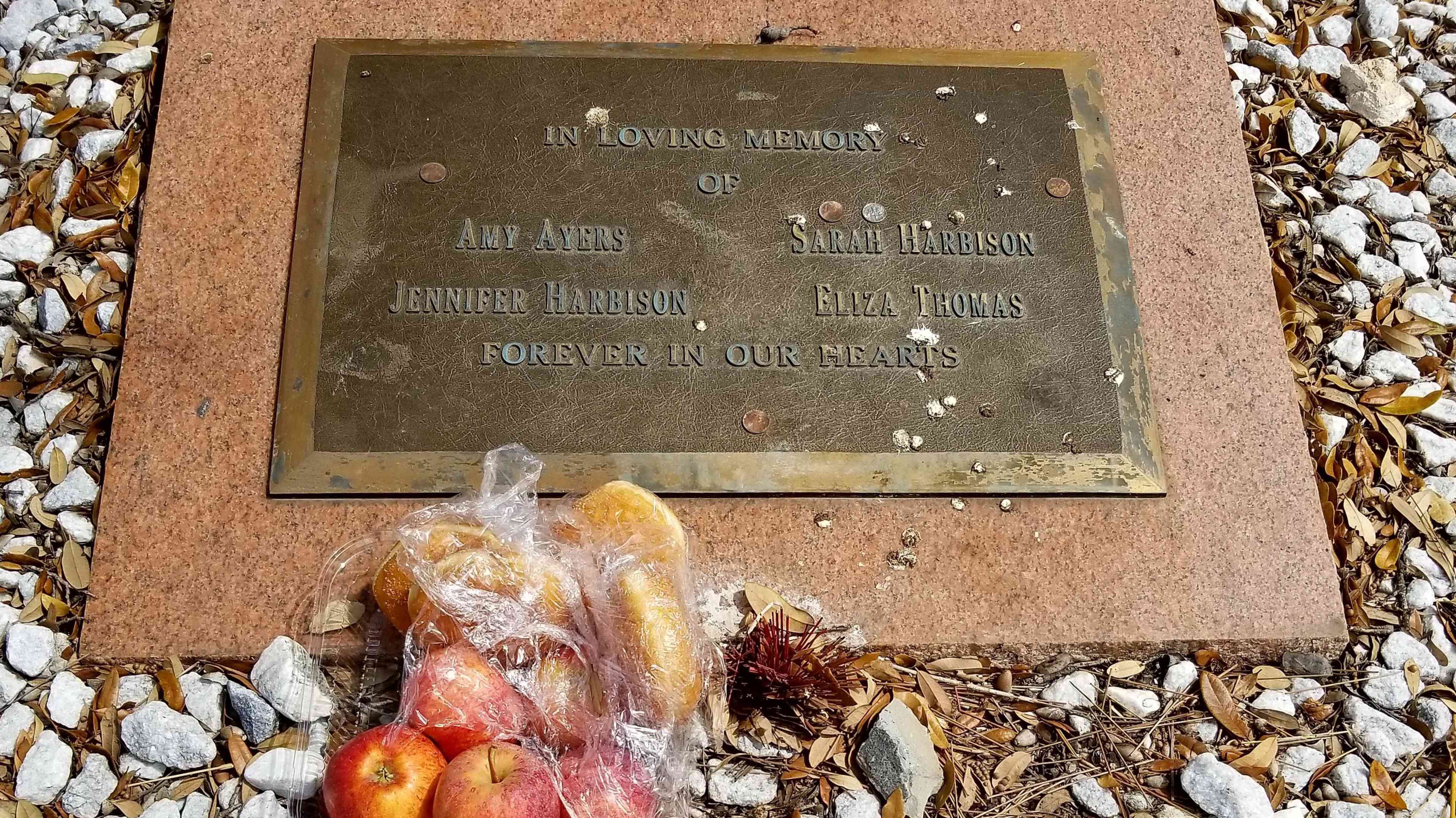 A bronze memorial plaque set in a snowy, rocky landscape, with flowers and other offerings placed in front of it.