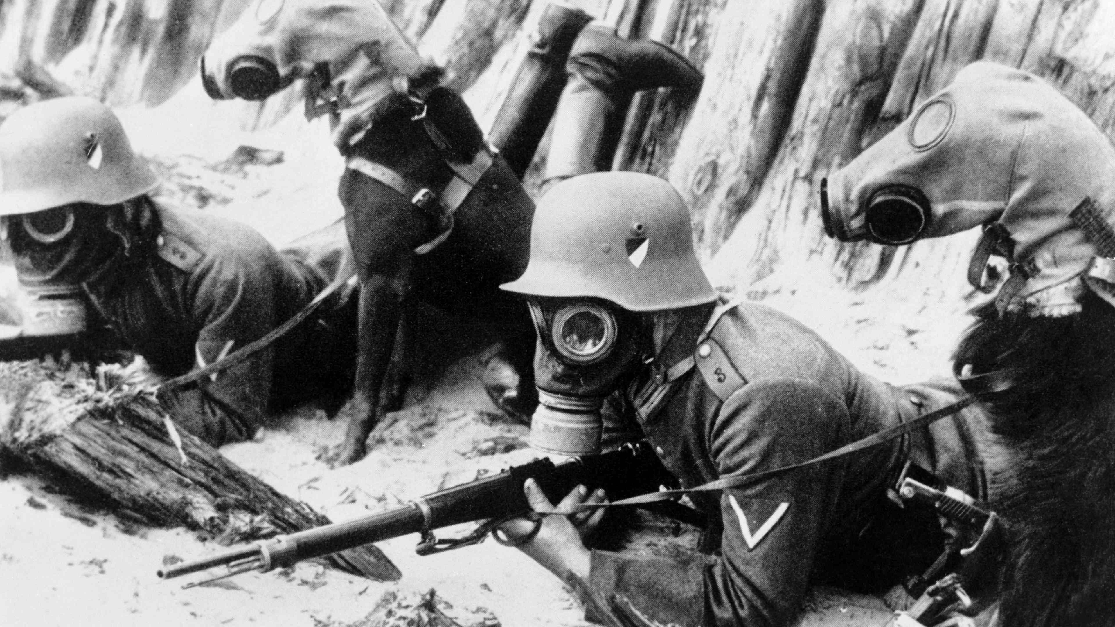 WWI Dogs