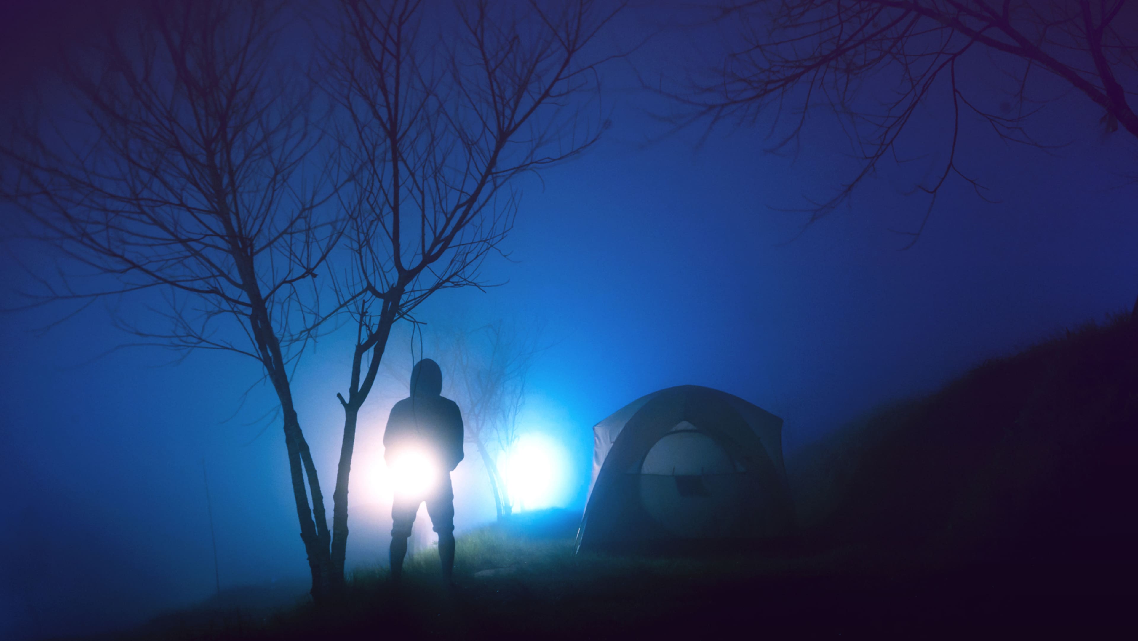 Silhouetted figures stand amidst a mysterious, dimly lit forest, with a bright, ethereal light emanating from behind them, casting an otherworldly glow on the scene.