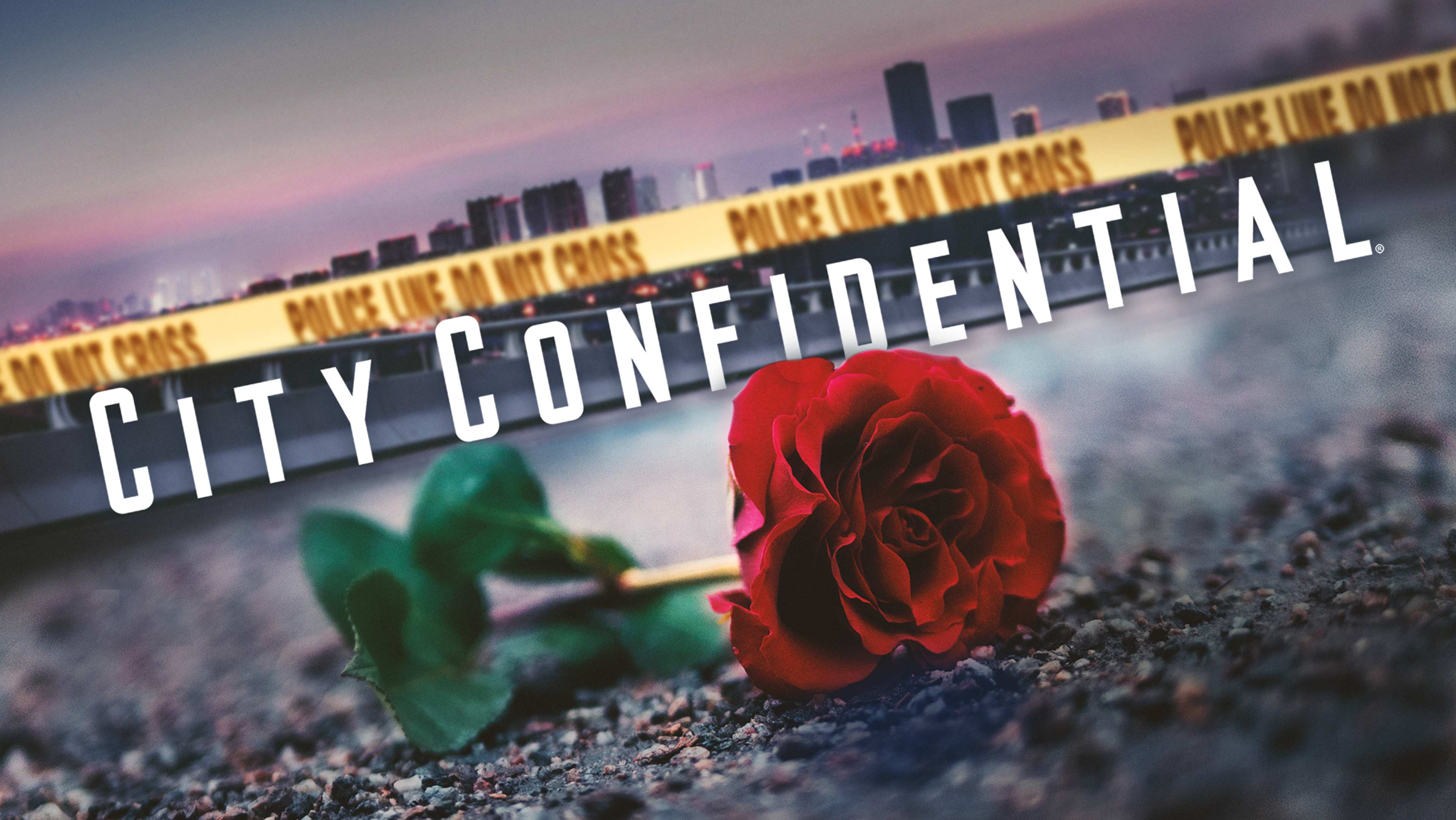 A vibrant red rose sits in the foreground, contrasting with the blurred cityscape and the text "City Confidential" in the background.