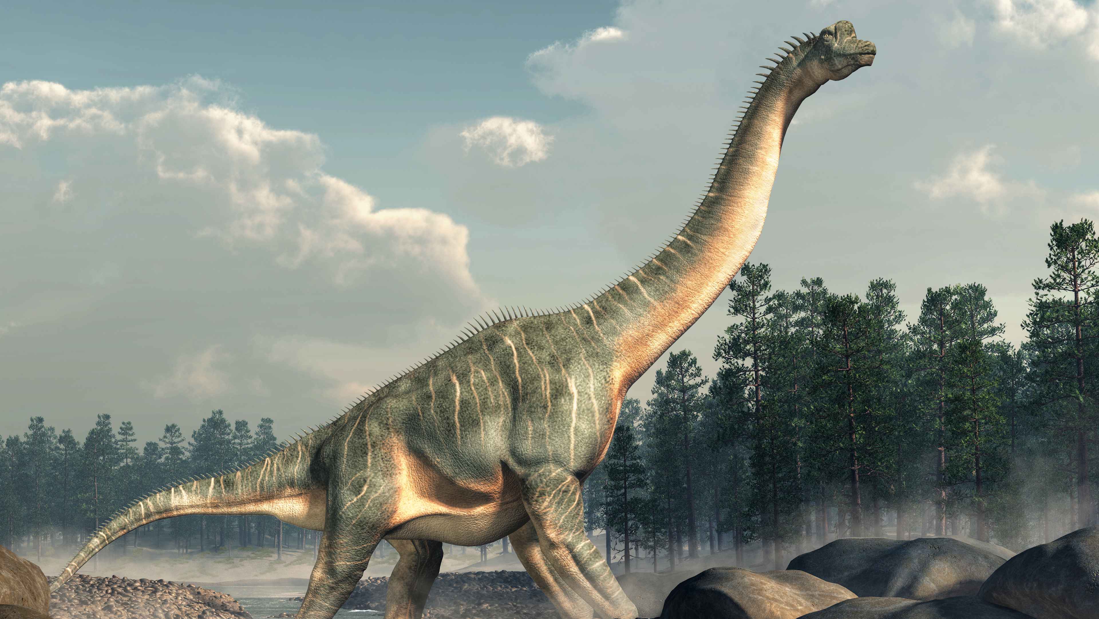 Brachiosaurus in a Stream