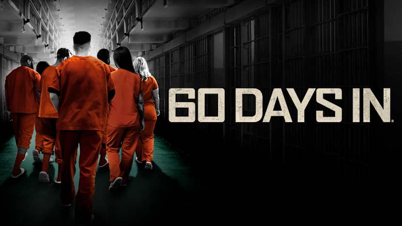 This Is Your Brain In Jail