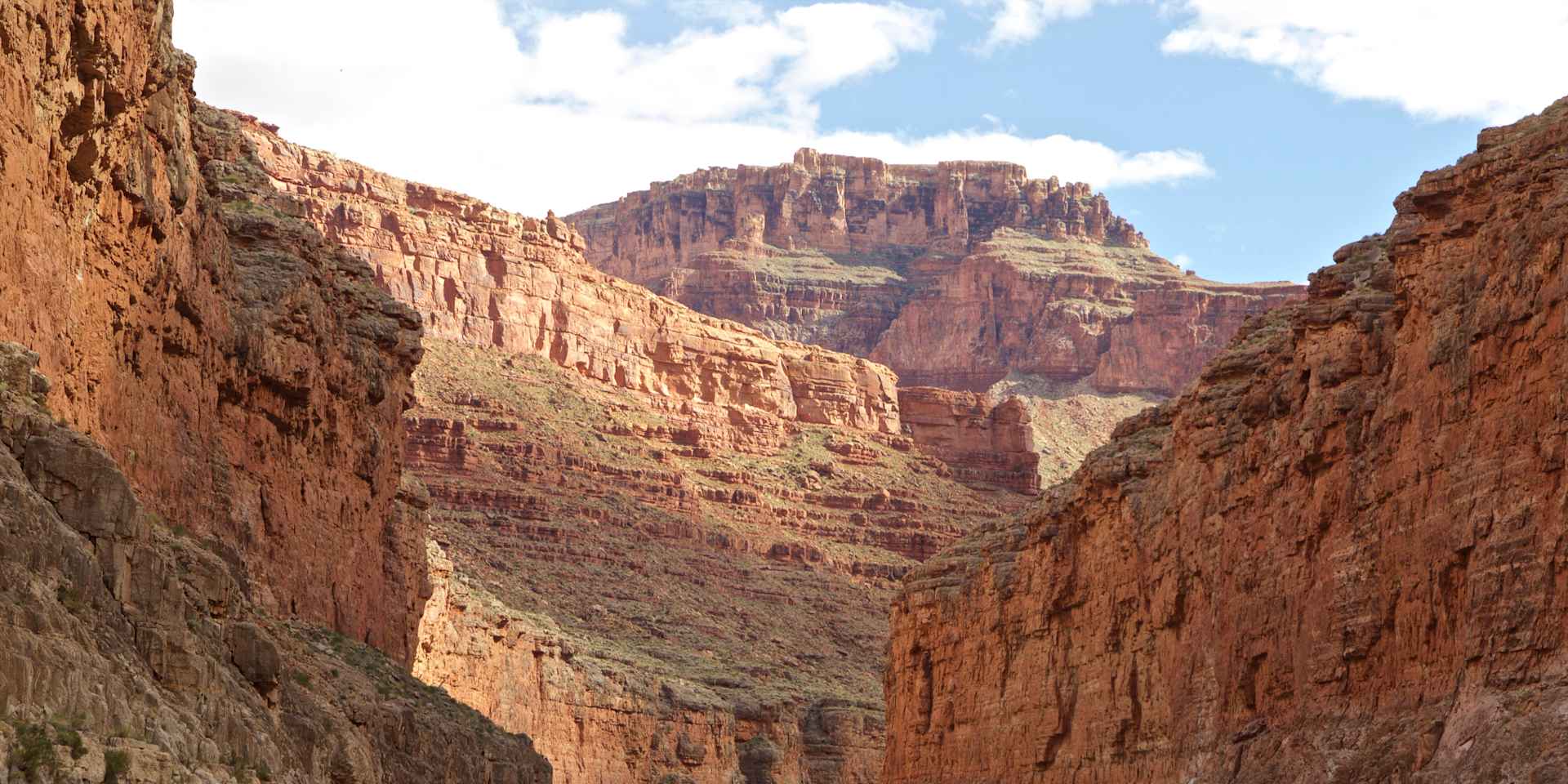 When the Grand Canyon Was a Hotbed for Evolution
