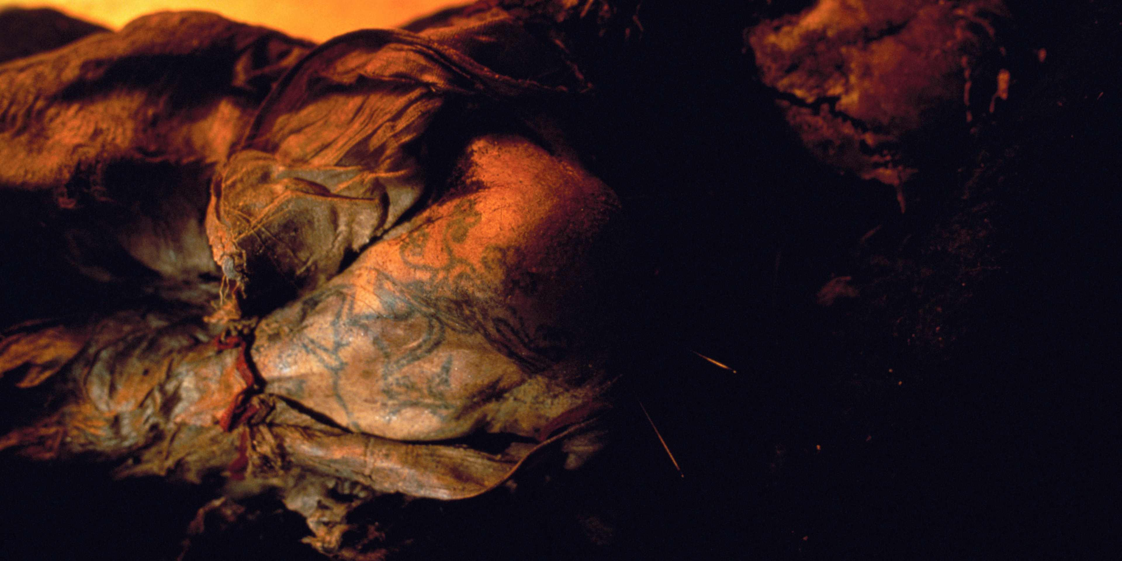 The mummified arm and shoulder of a mummy known as the Siberian Ice Maiden.