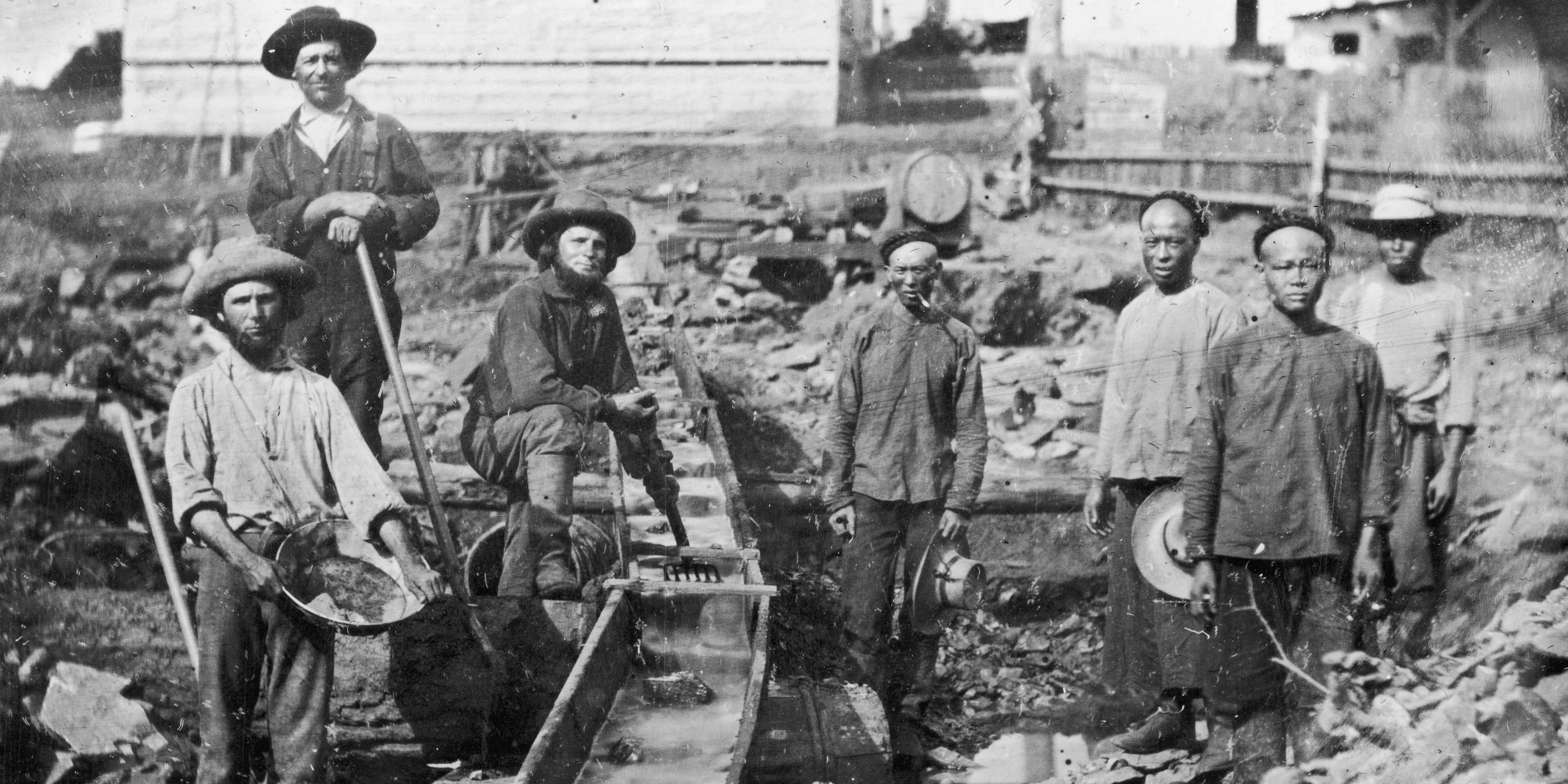 White And Chinese Gold Miners